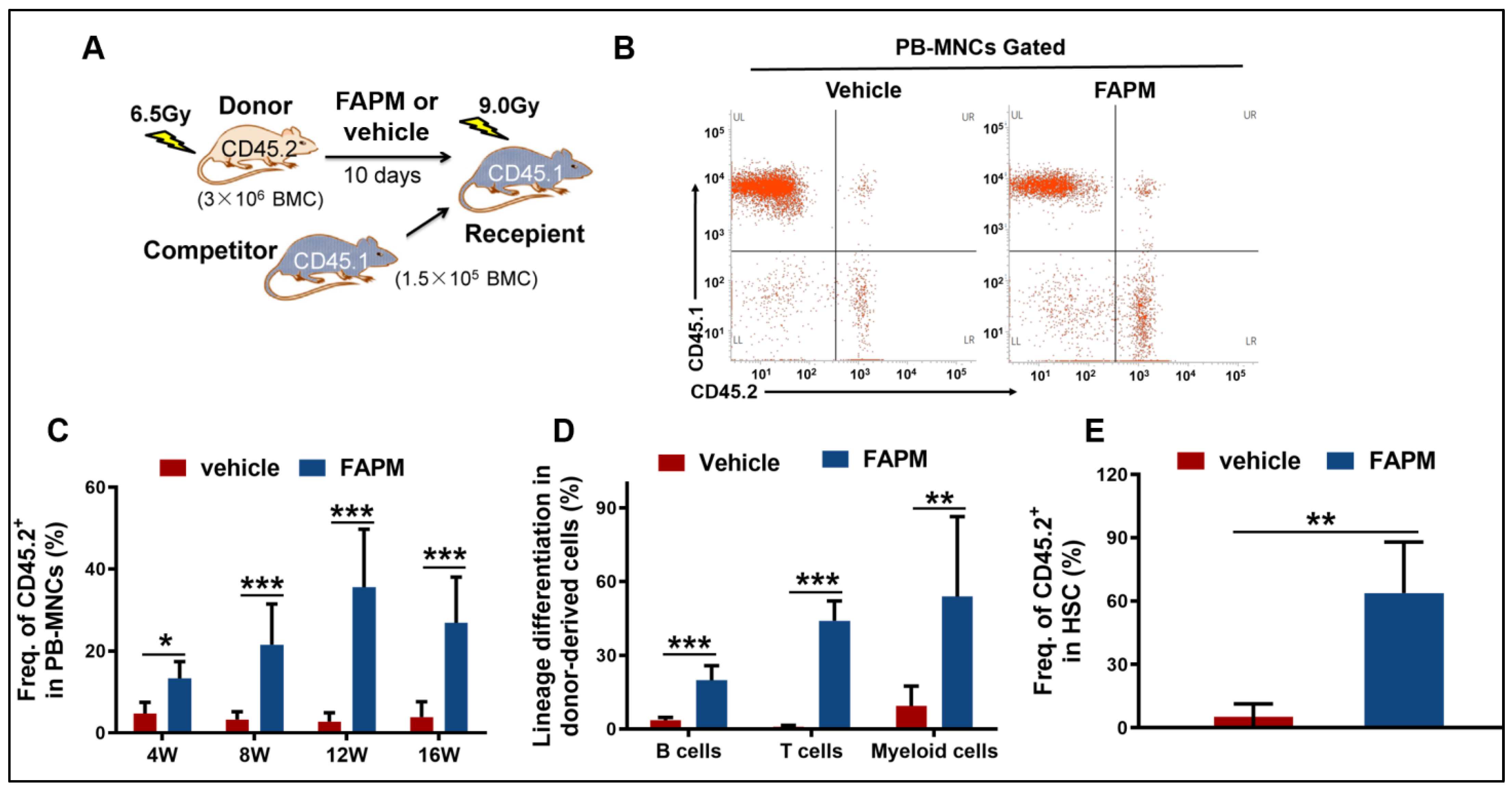 Molecules 29 00816 g004