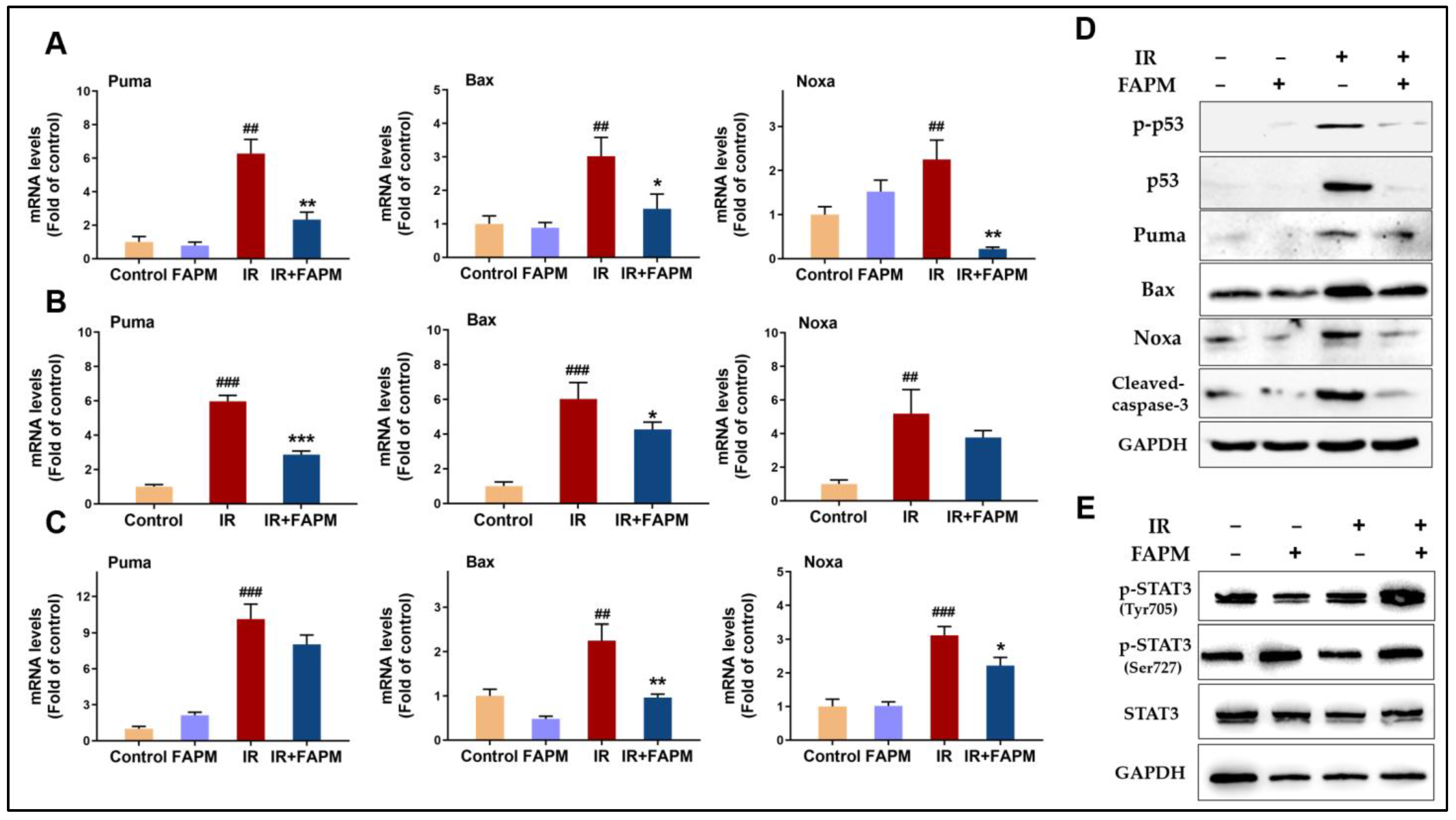 Molecules 29 00816 g006