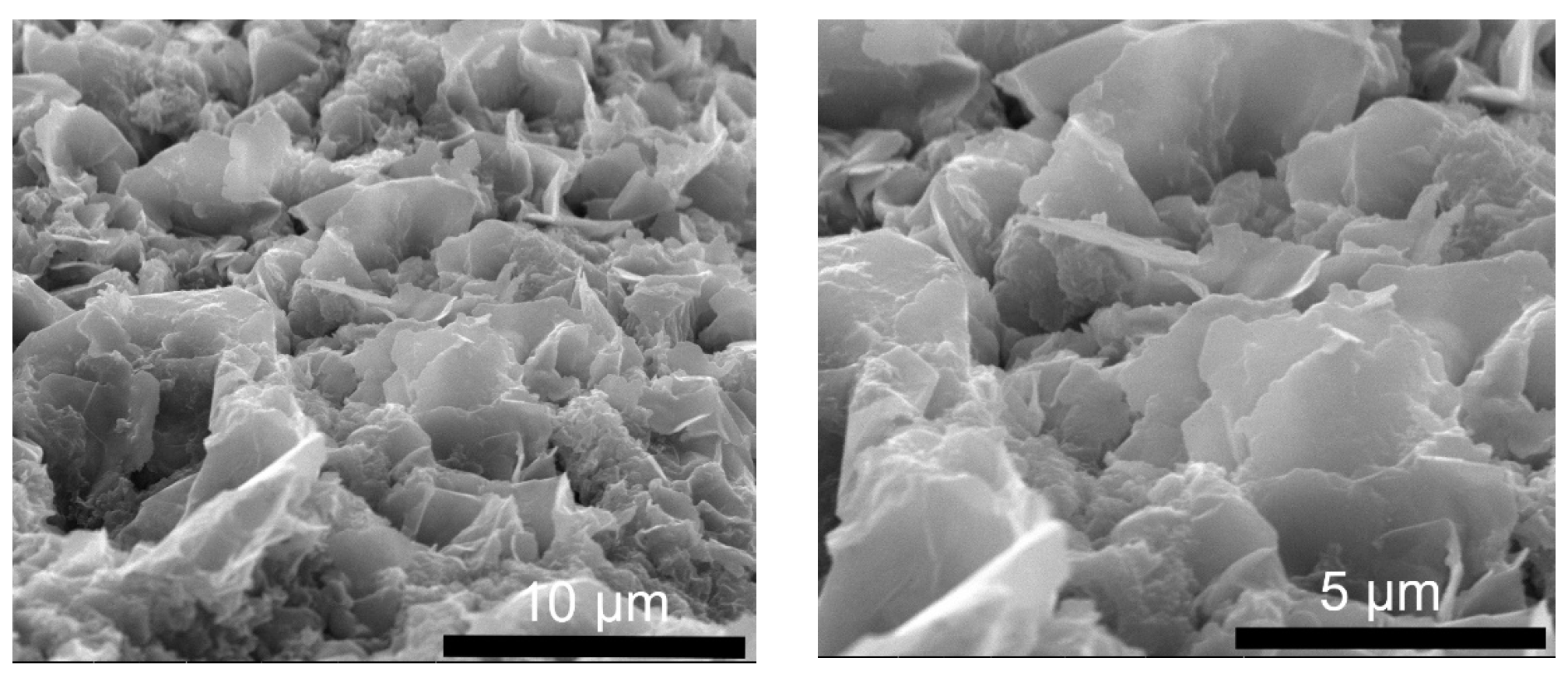 Molecules 29 00819 g006