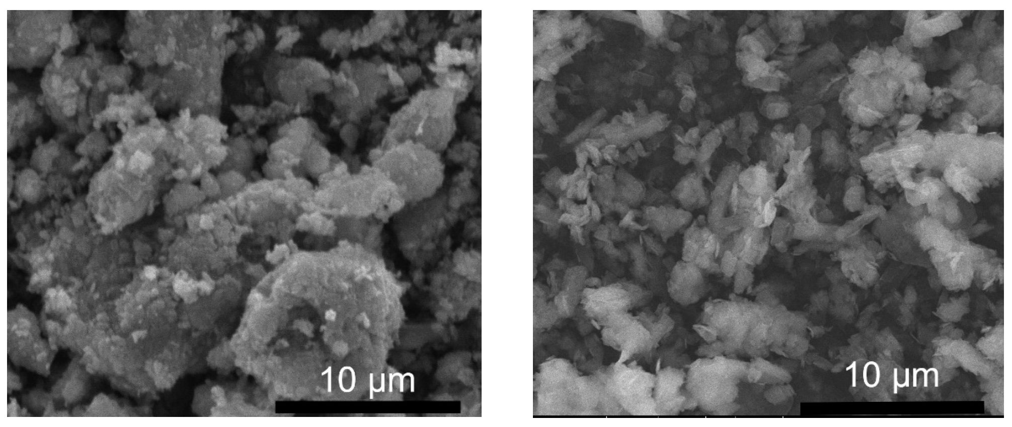 Molecules 29 00819 g007