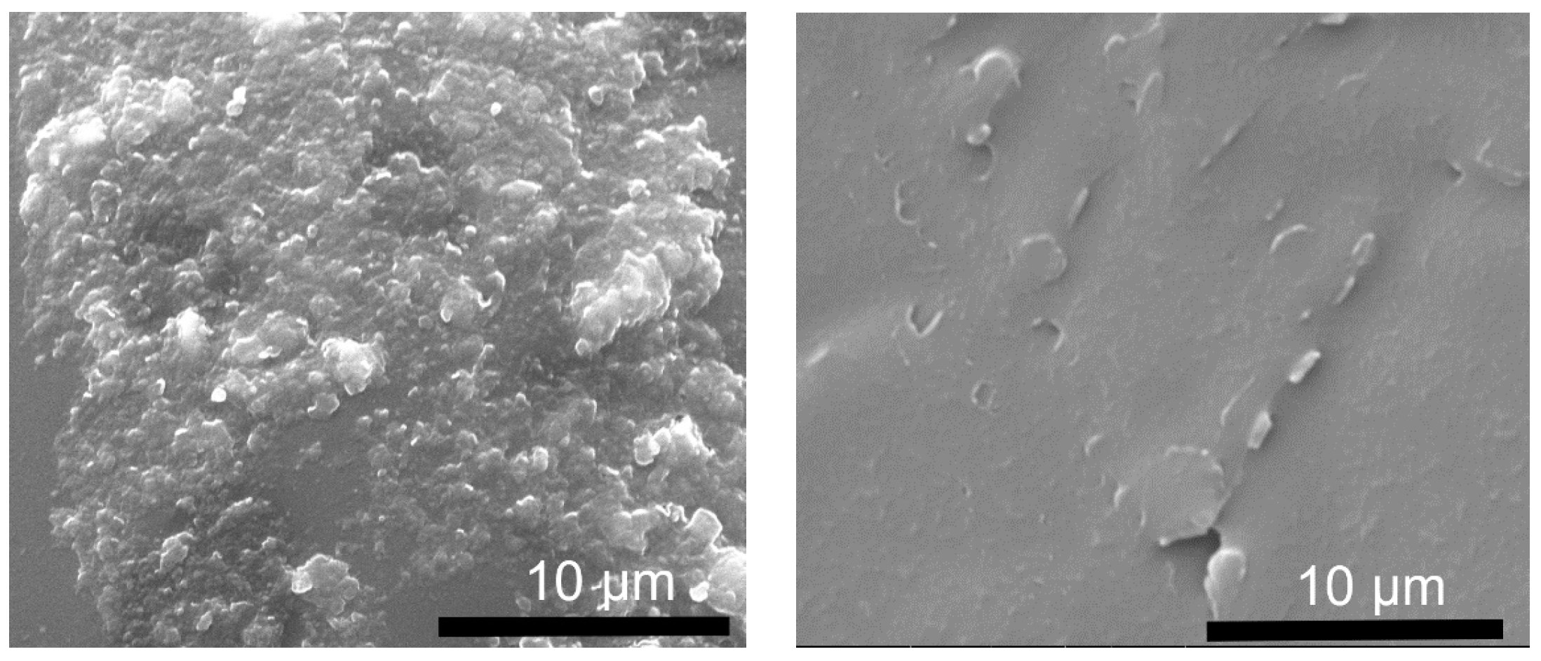 Molecules 29 00819 g011