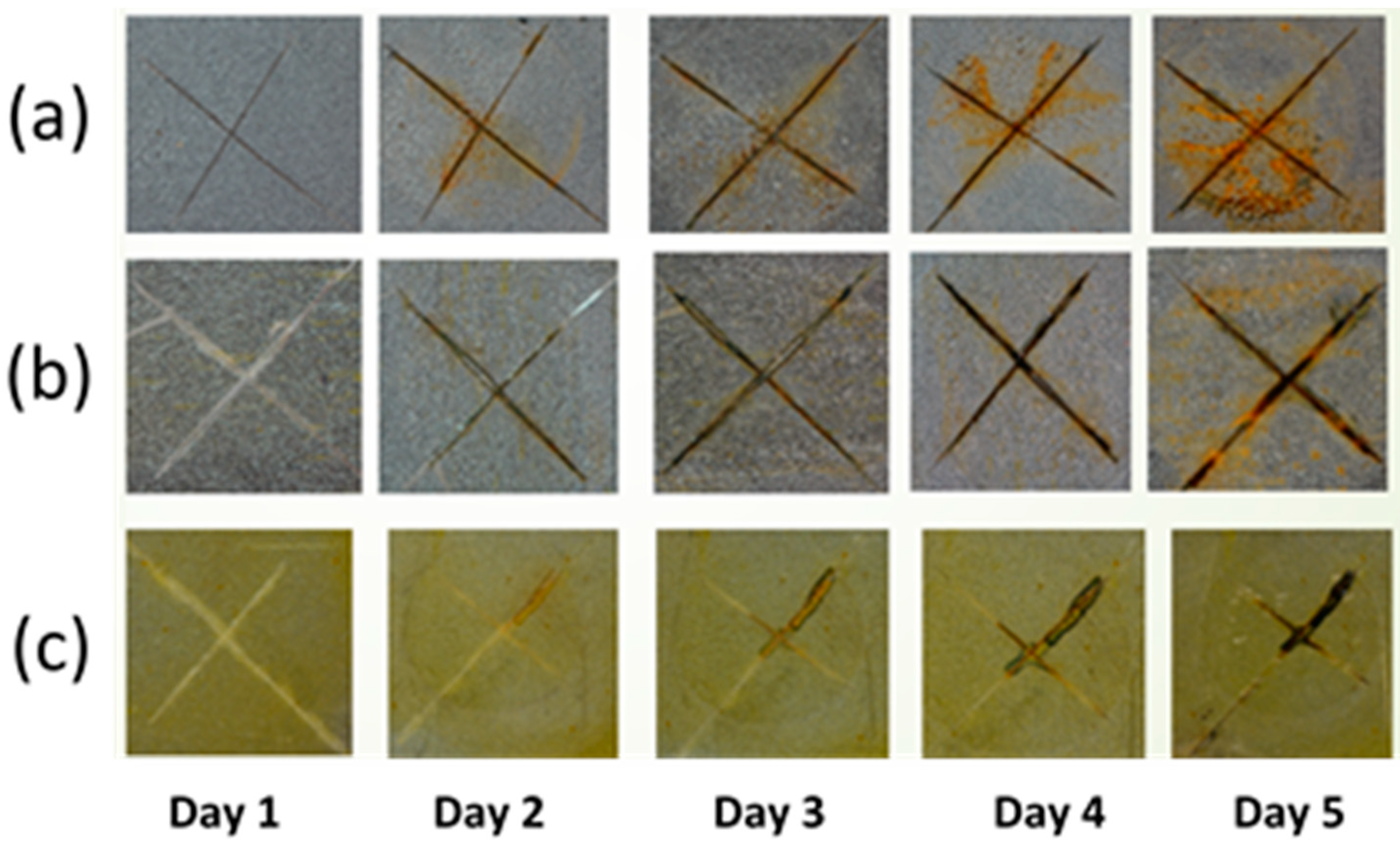 Molecules 29 00819 g012