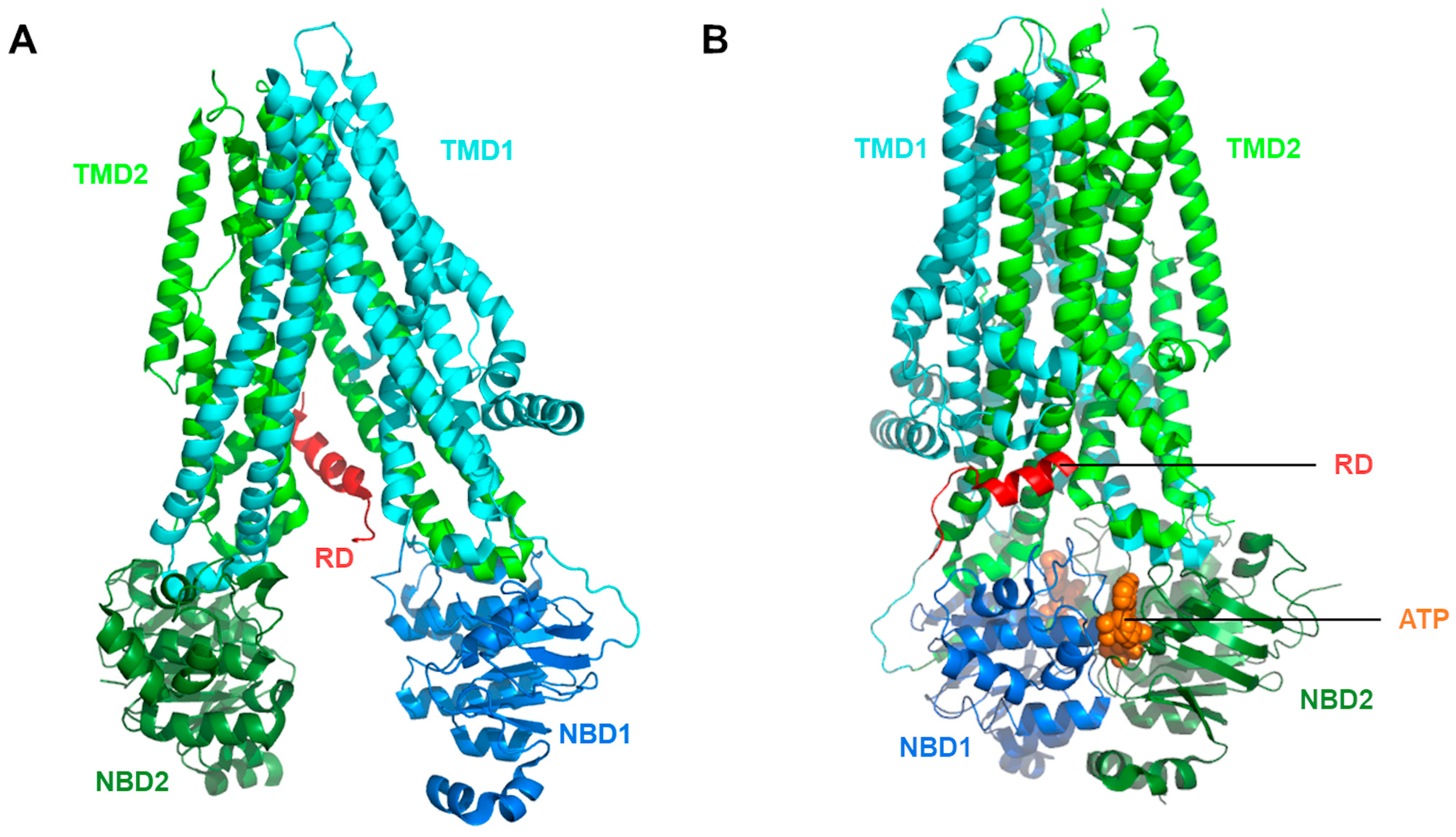 Molecules 29 00821 g001