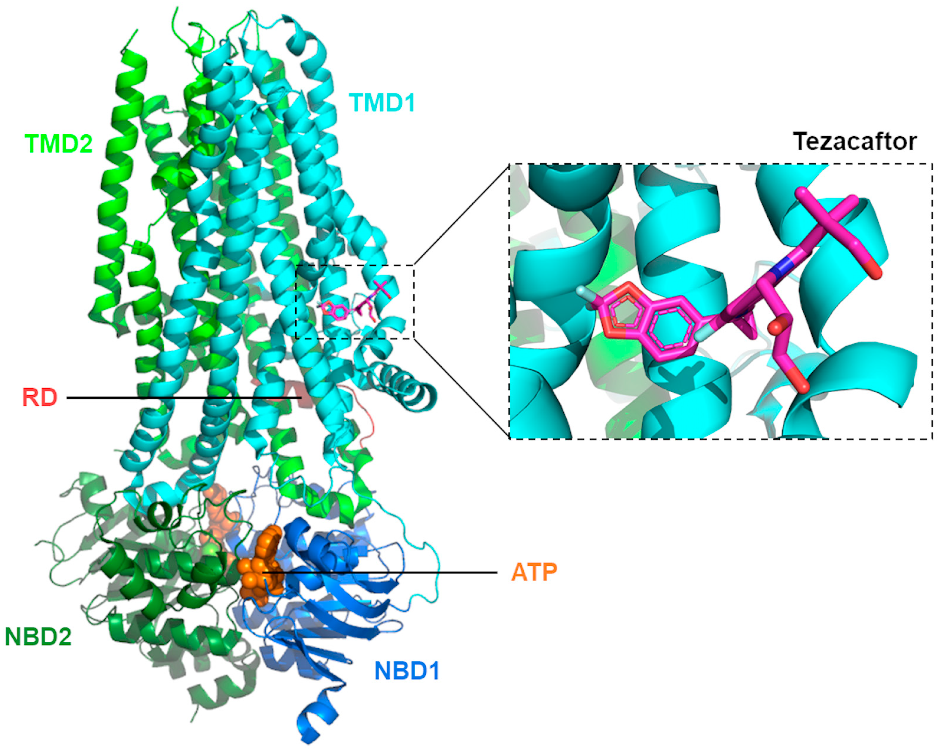 Molecules 29 00821 g004