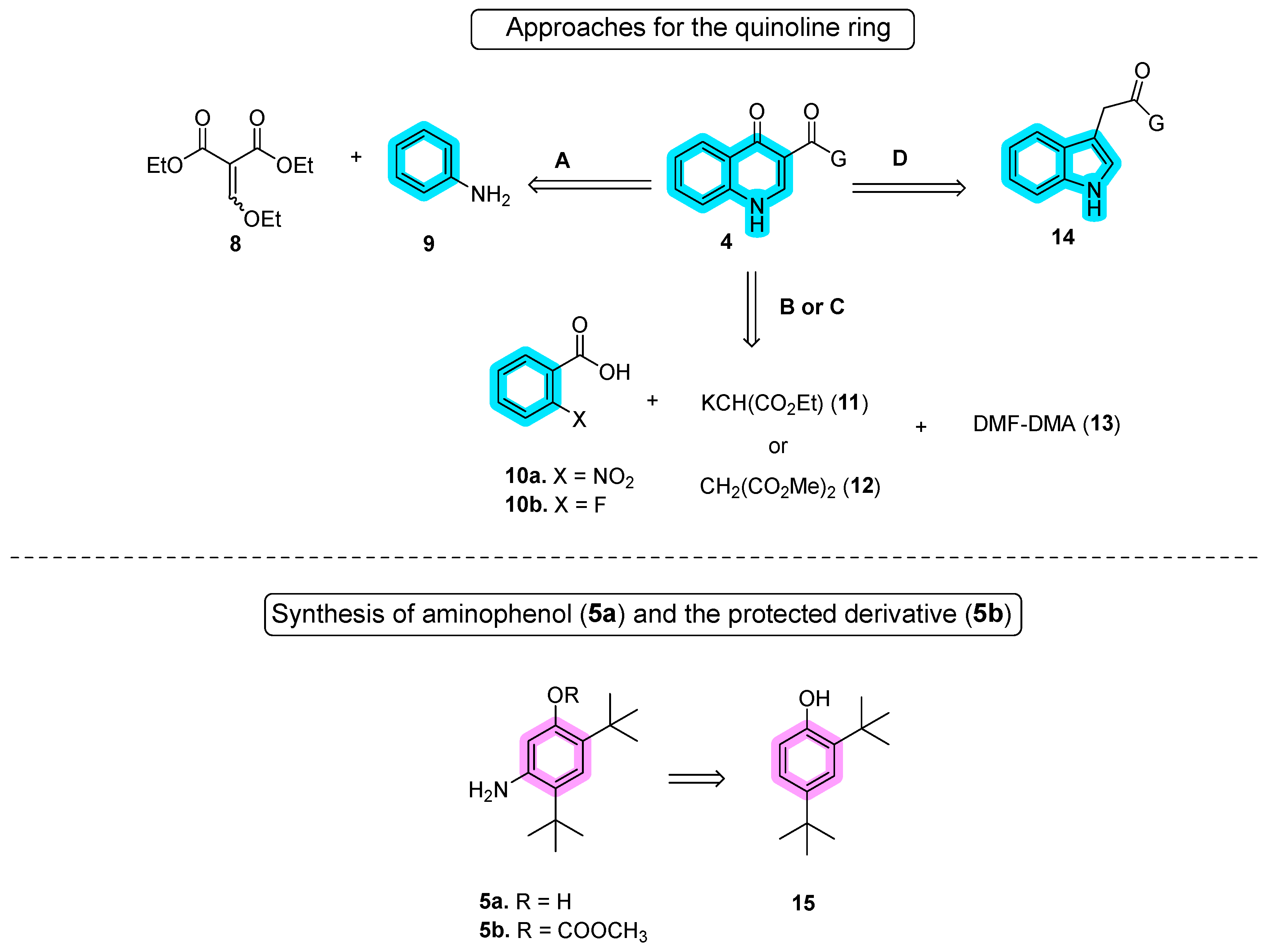 Molecules 29 00821 sch002