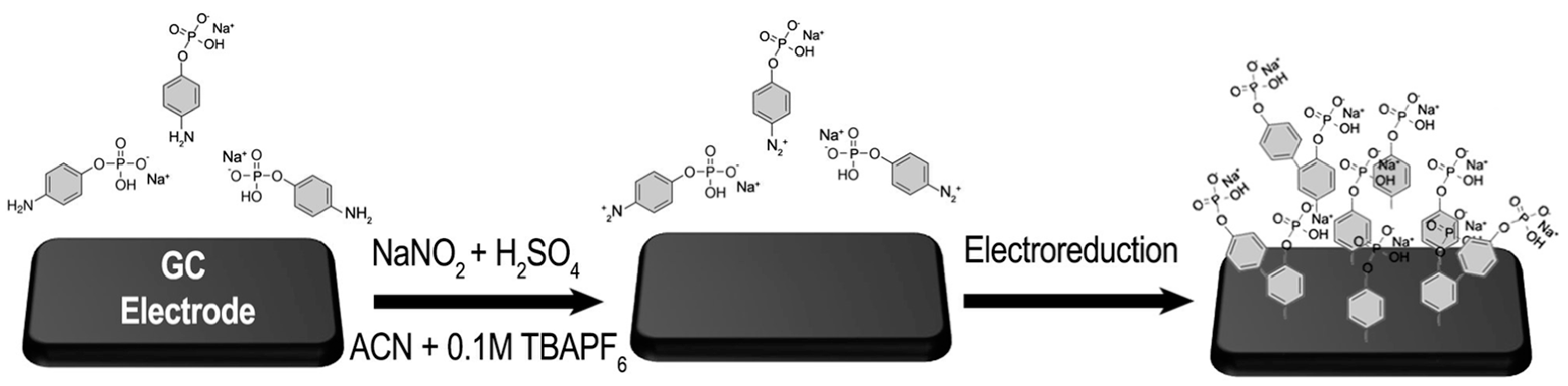 Molecules 29 00835 sch001