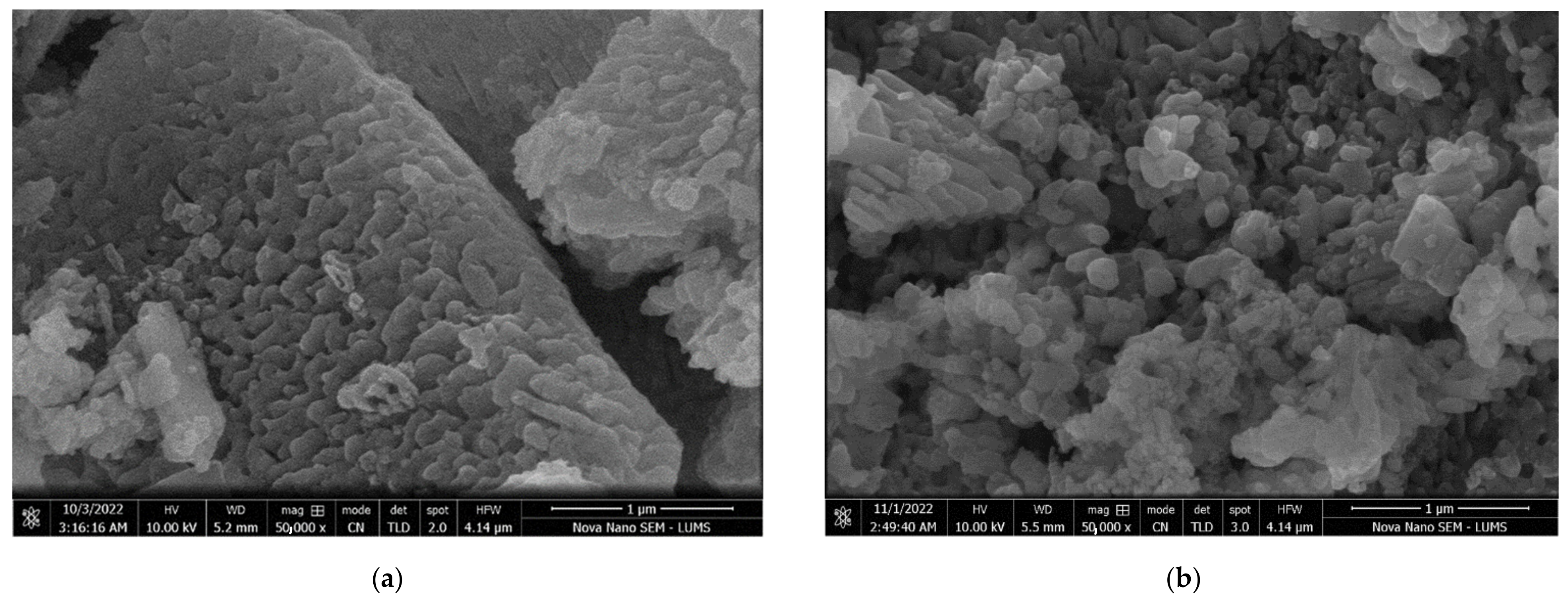 Molecules 29 00836 g002