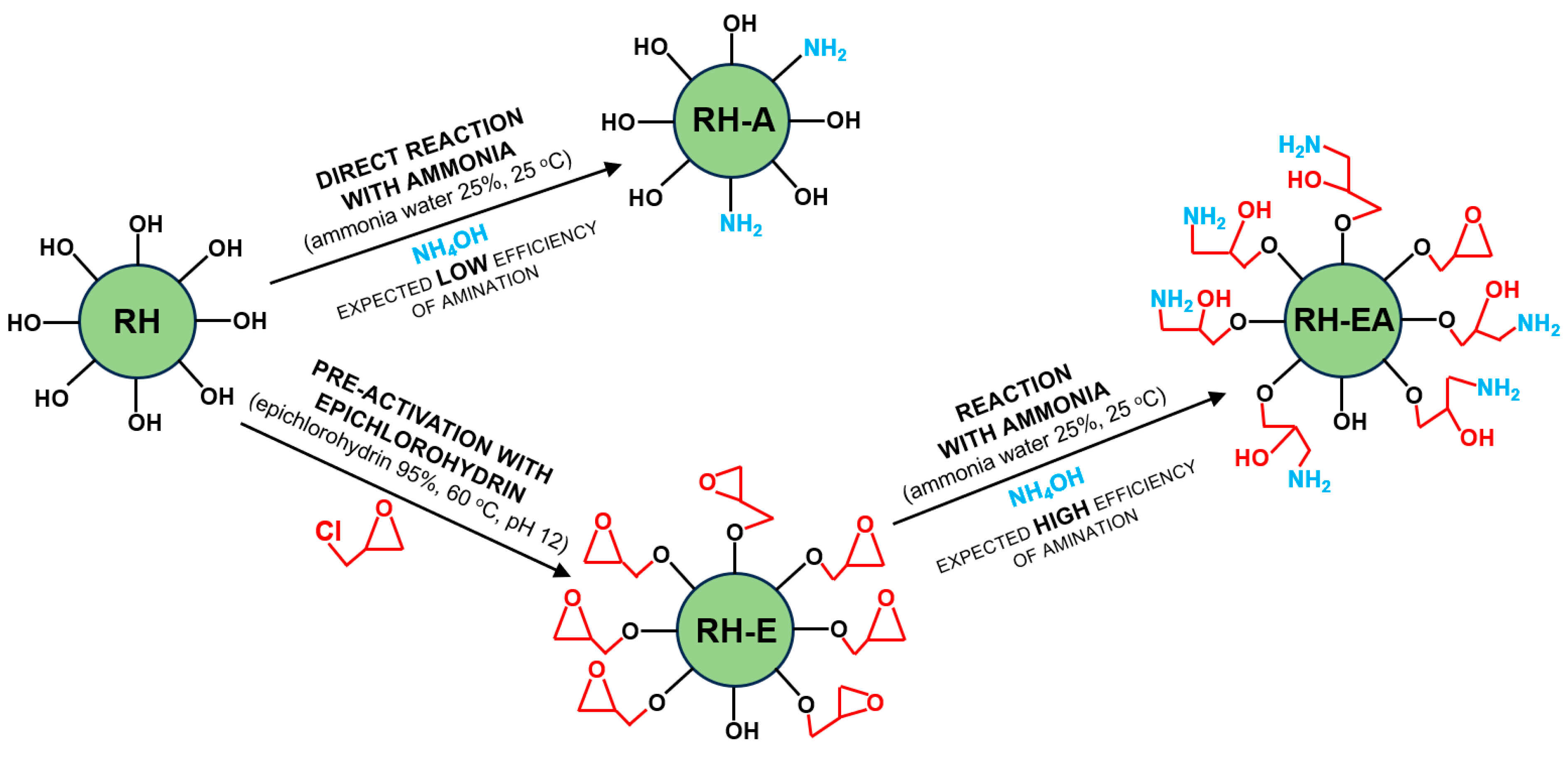 Molecules 29 00843 g006 Molecules 29 00843 g006