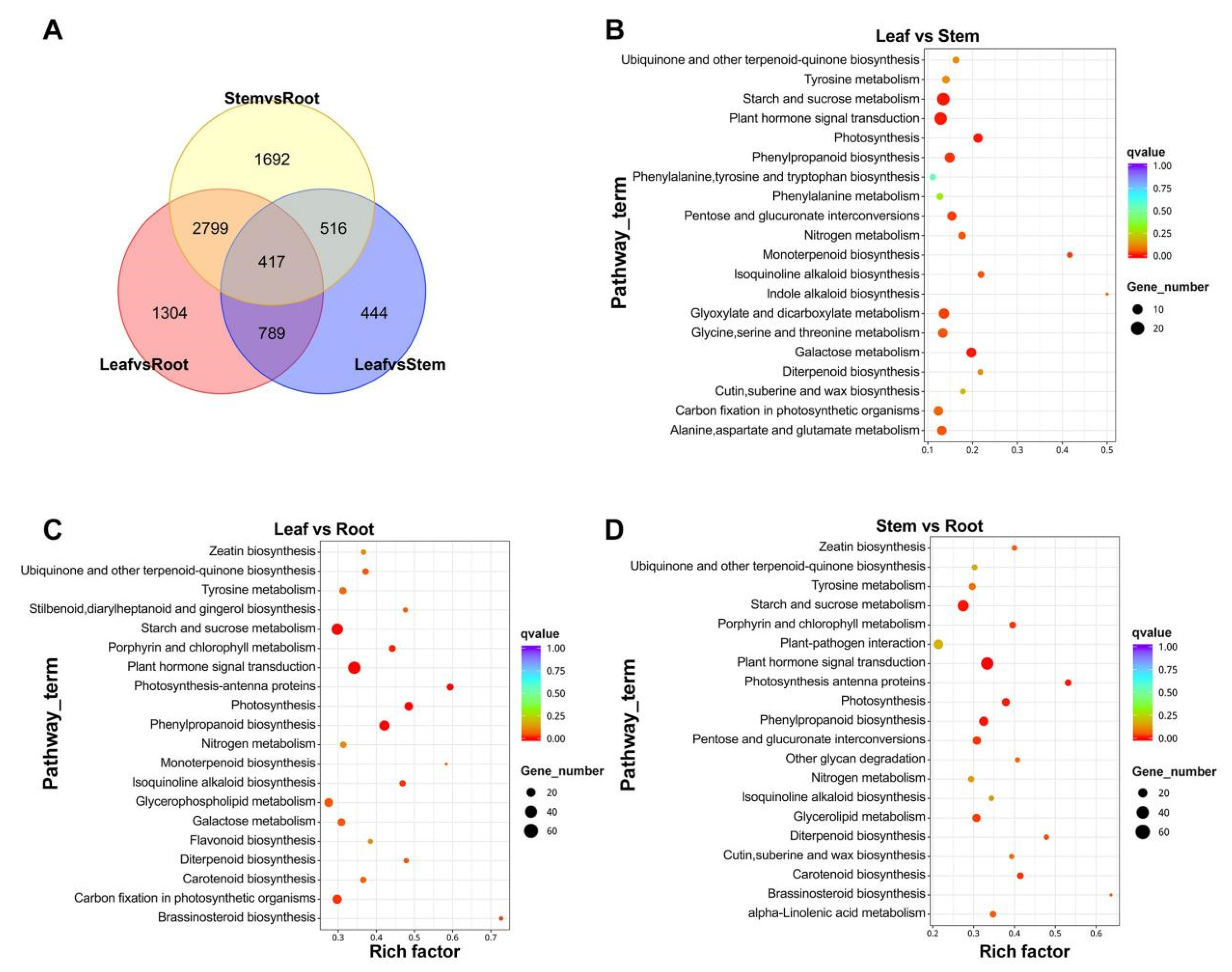 Molecules 29 00852 g005