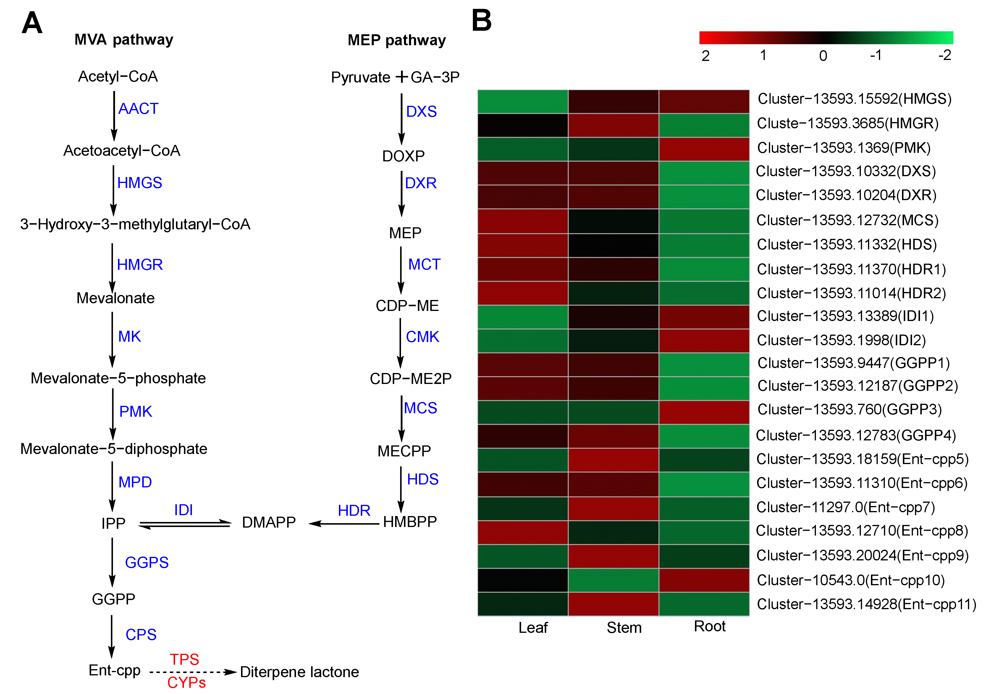 Molecules 29 00852 g007