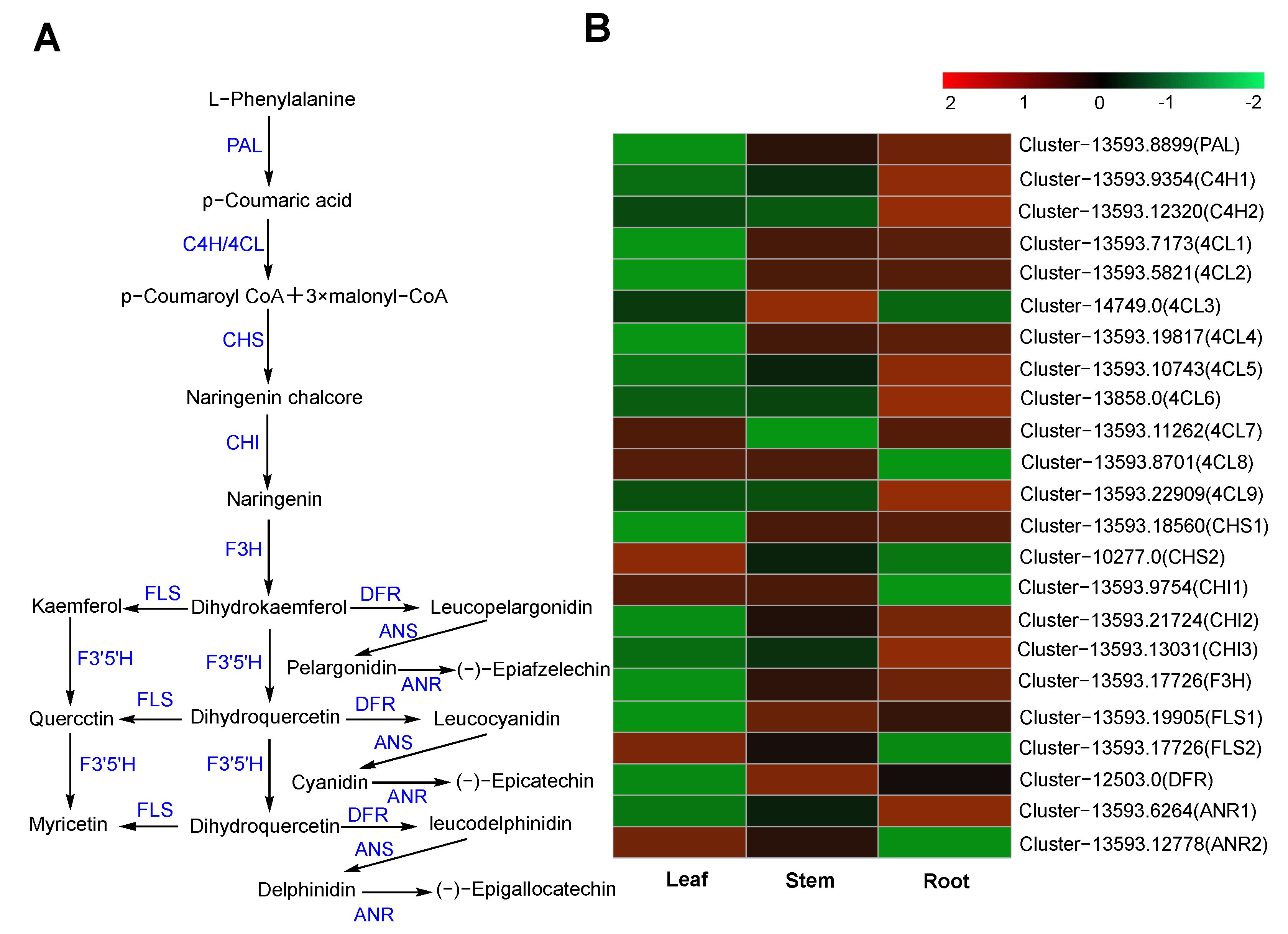 Molecules 29 00852 g009