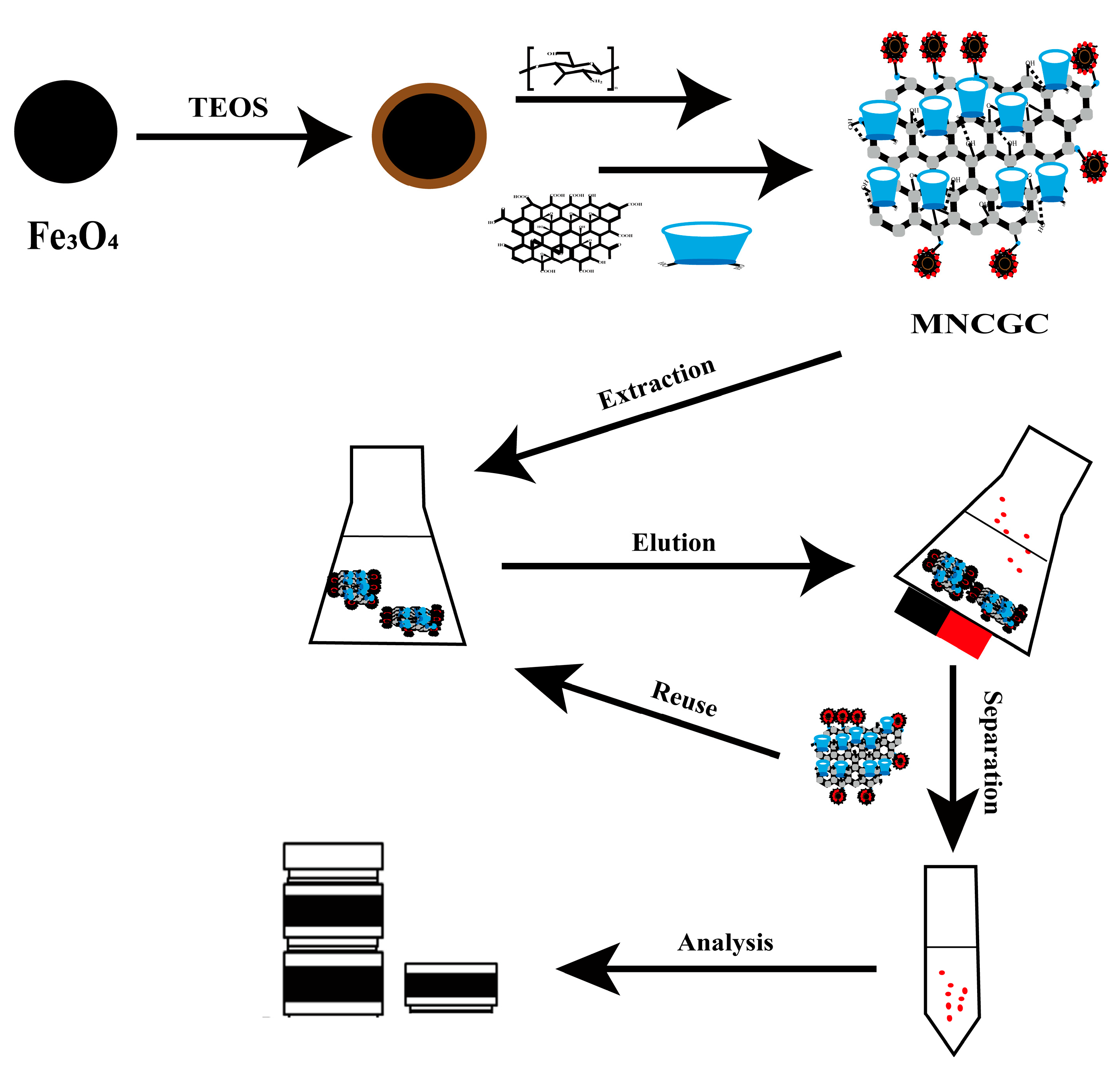 Molecules 29 00867 g015