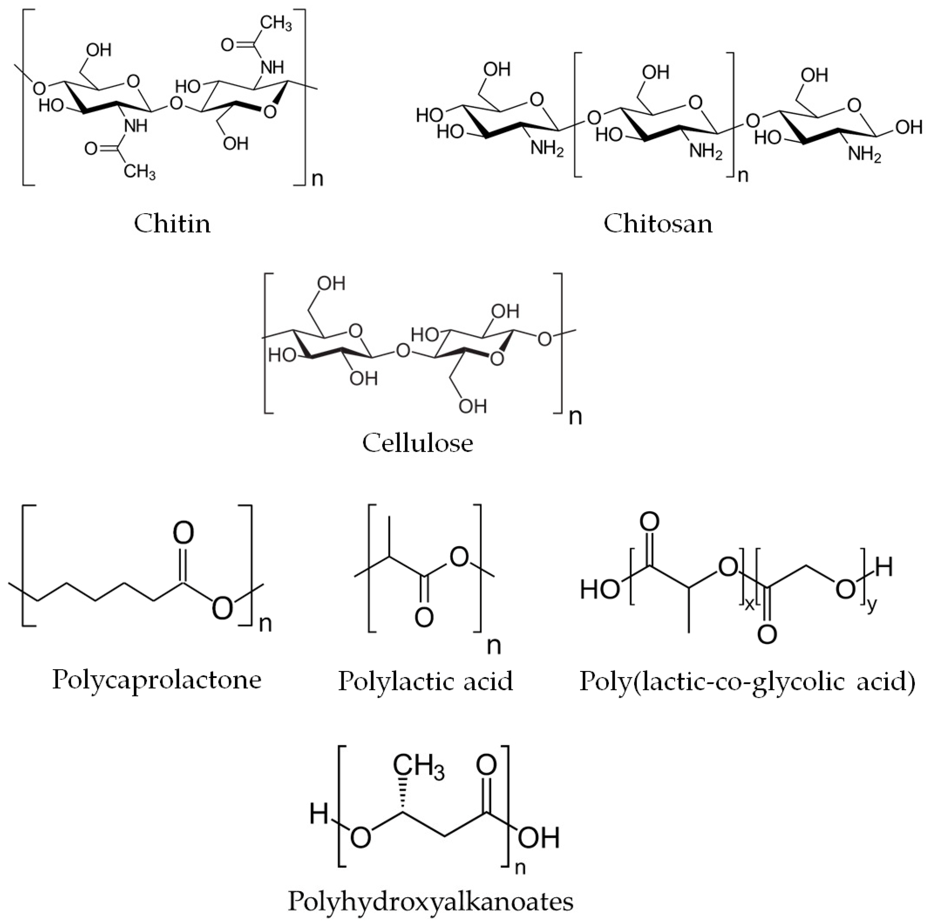 Molecules 29 00883 g002 Molecules 29 00883 g002