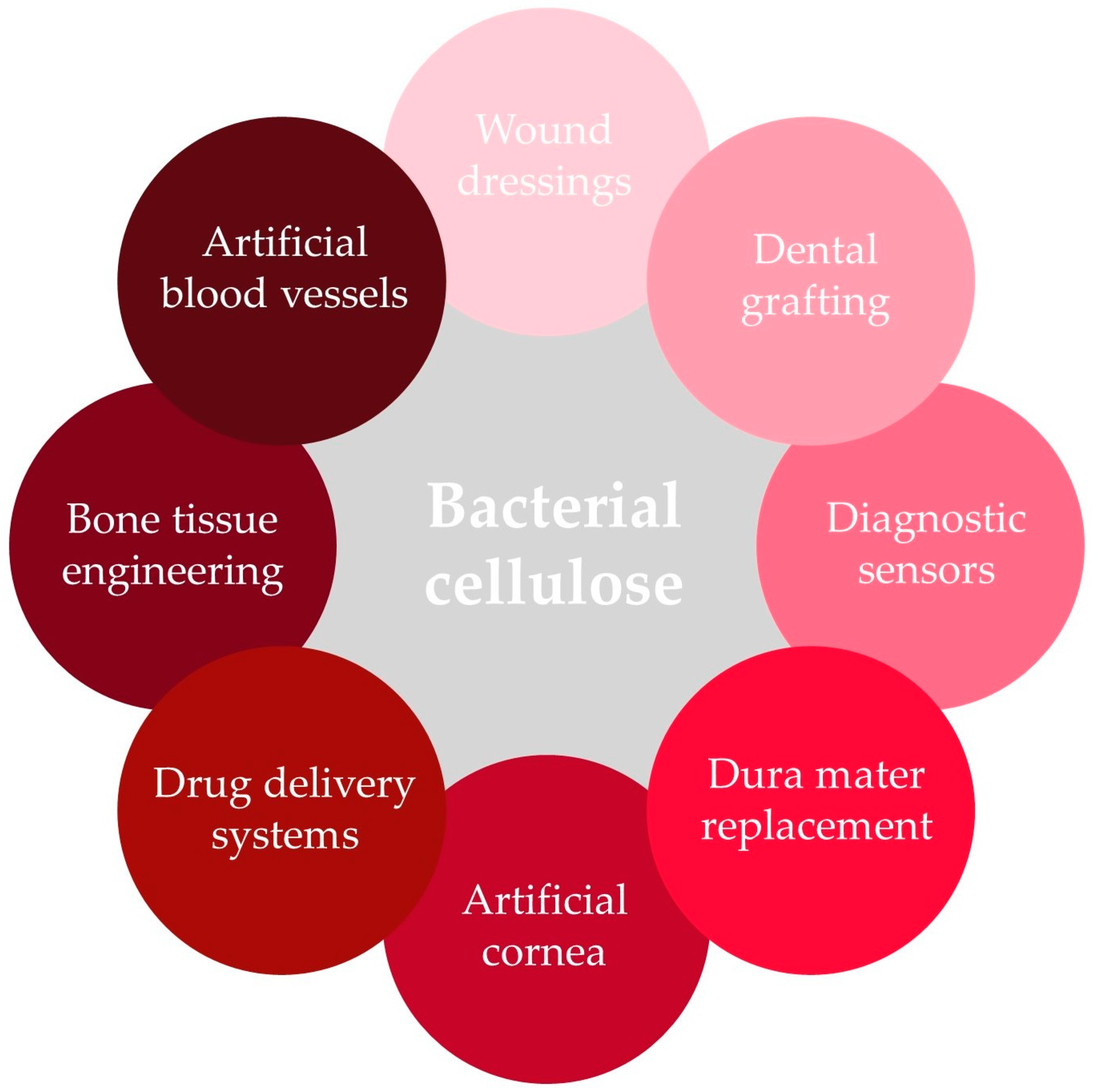 Molecules 29 00883 g004 Molecules 29 00883 g004
