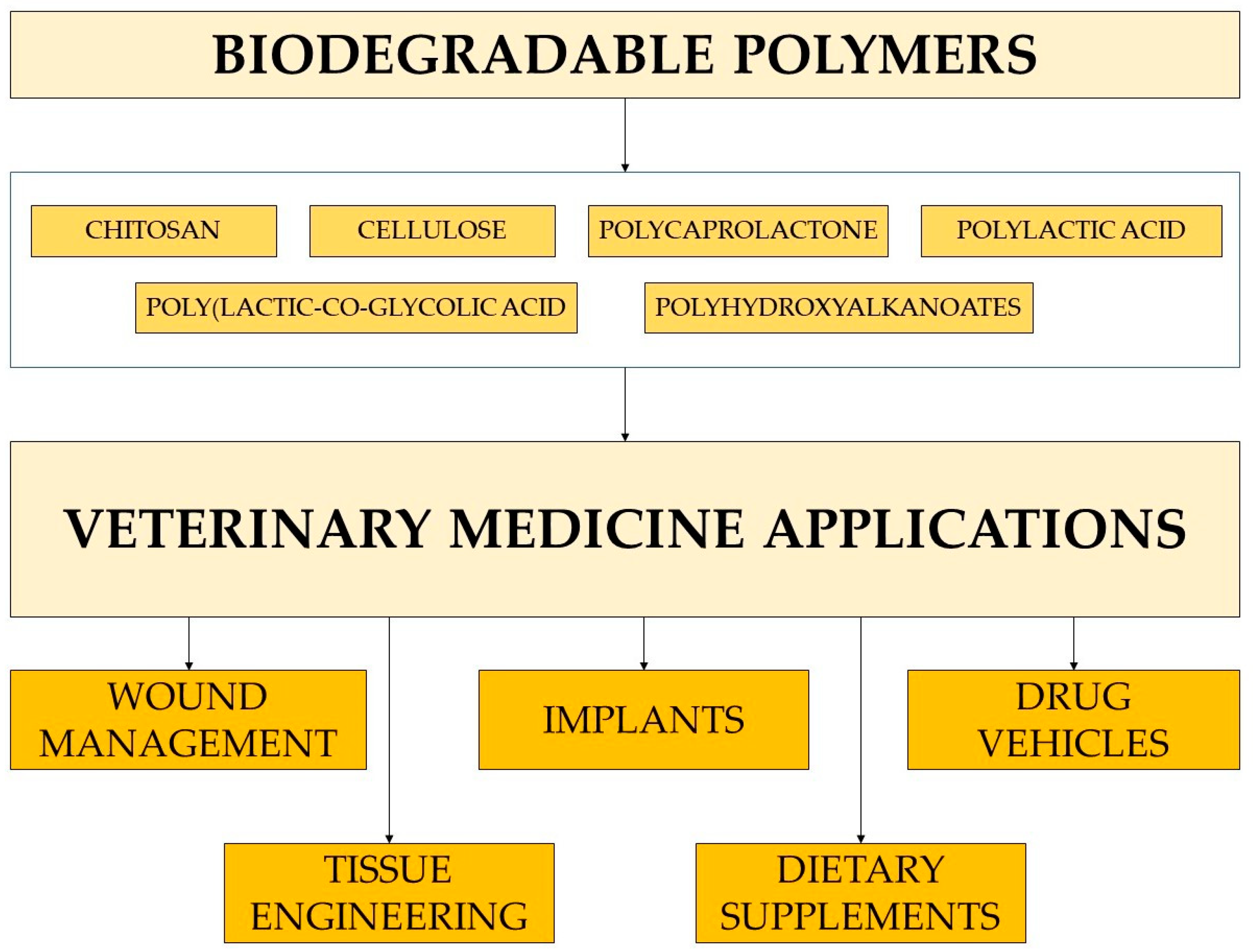 Molecules 29 00883 g005 Molecules 29 00883 g005