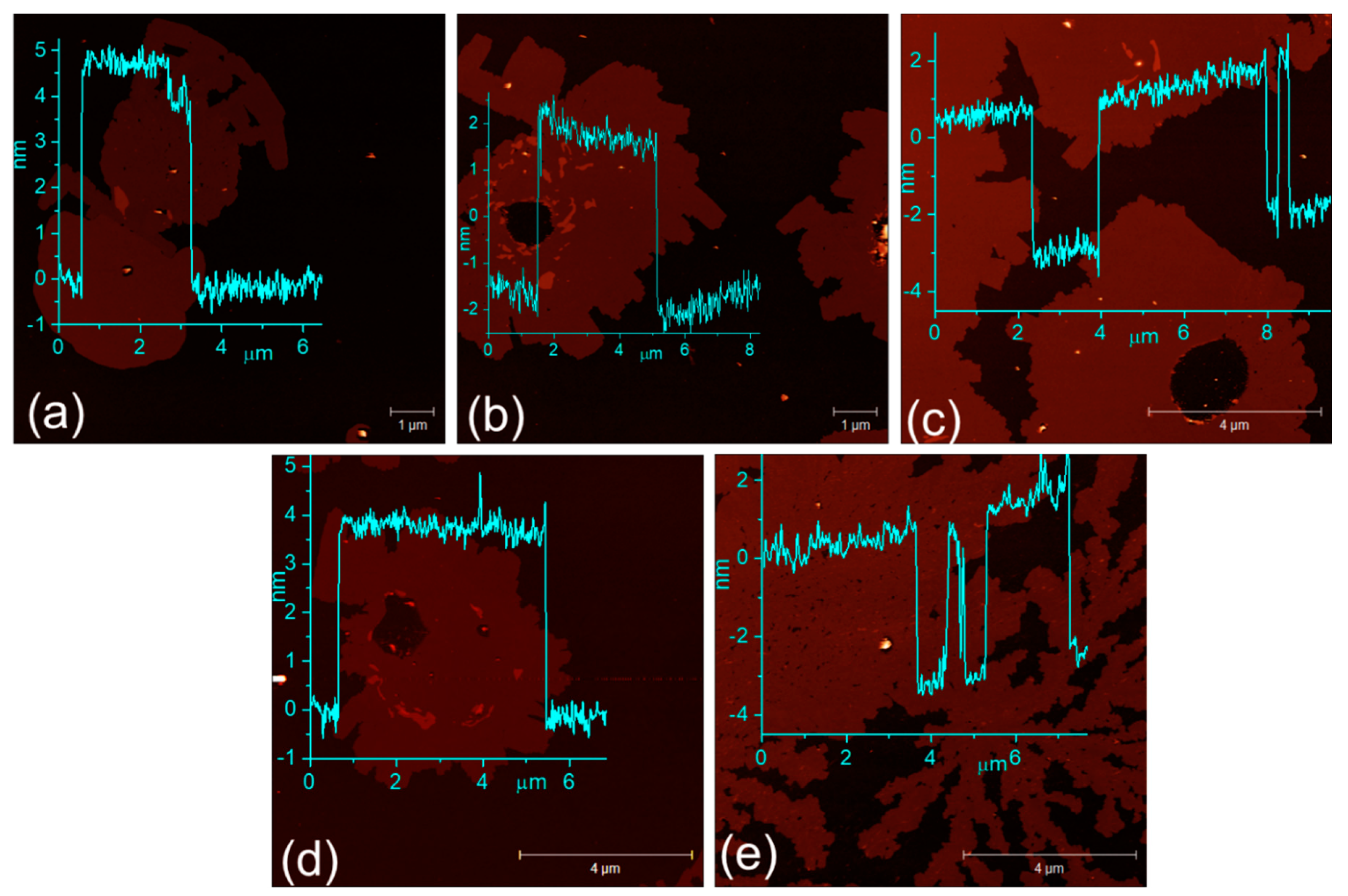 Molecules 29 00887 g003