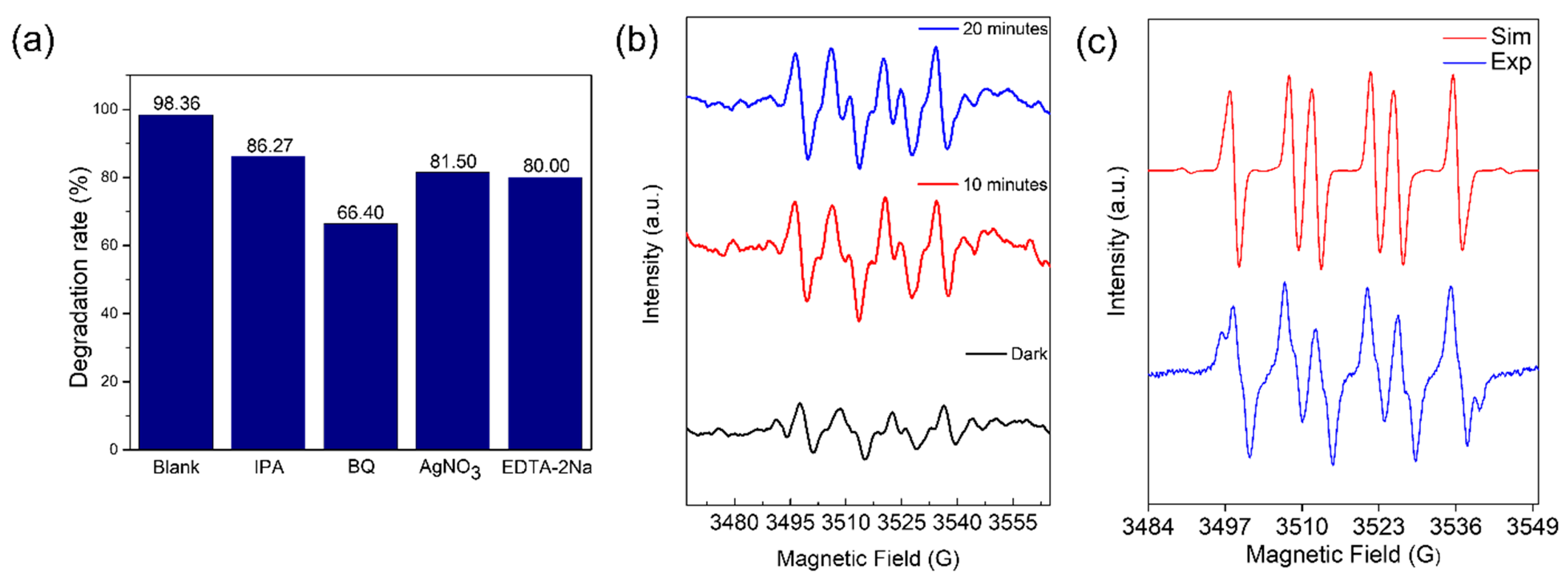 Molecules 29 00887 g006