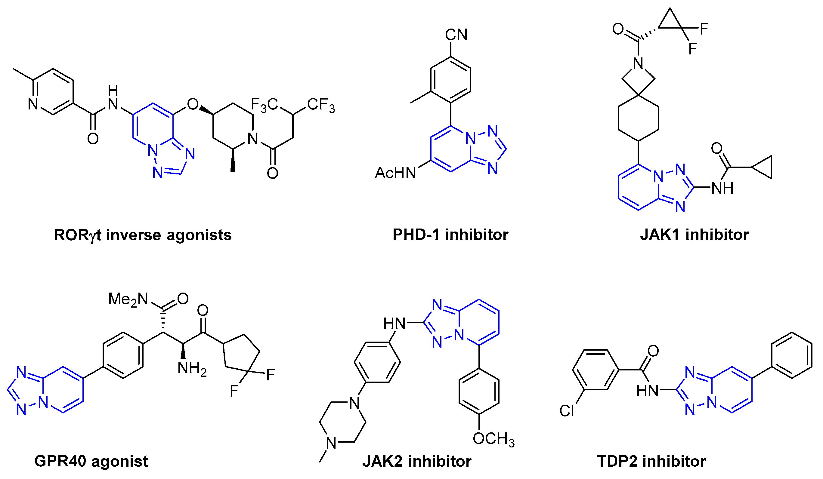 Molecules 29 00894 g001