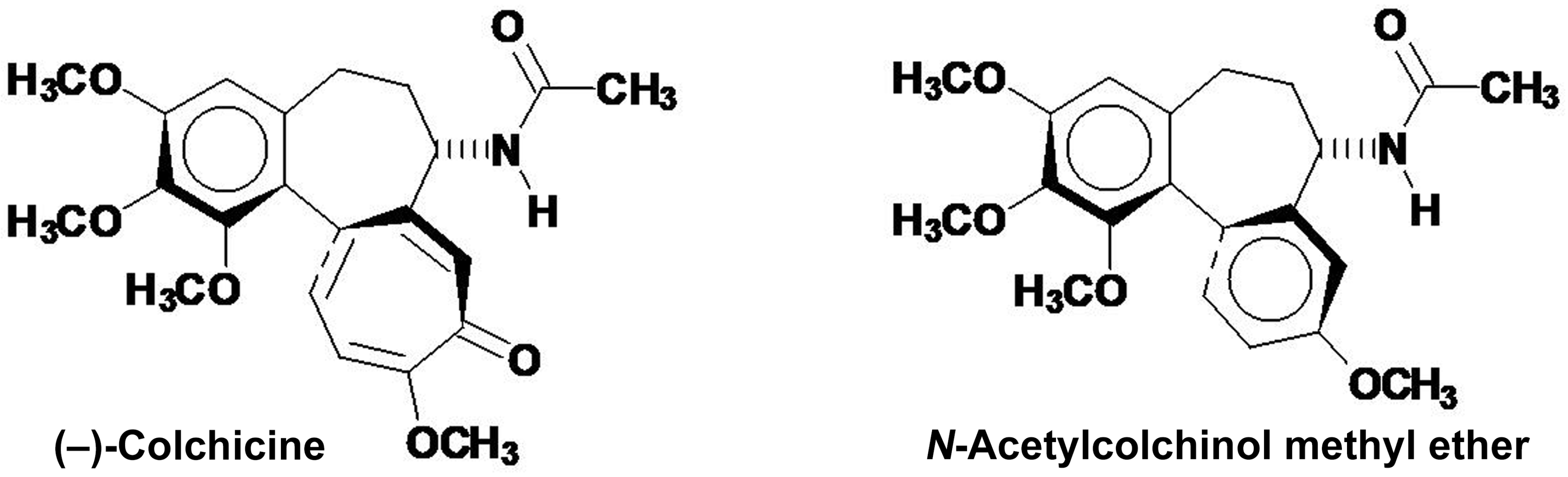 Molecules 29 00914 g006 Molecules 29 00914 g006