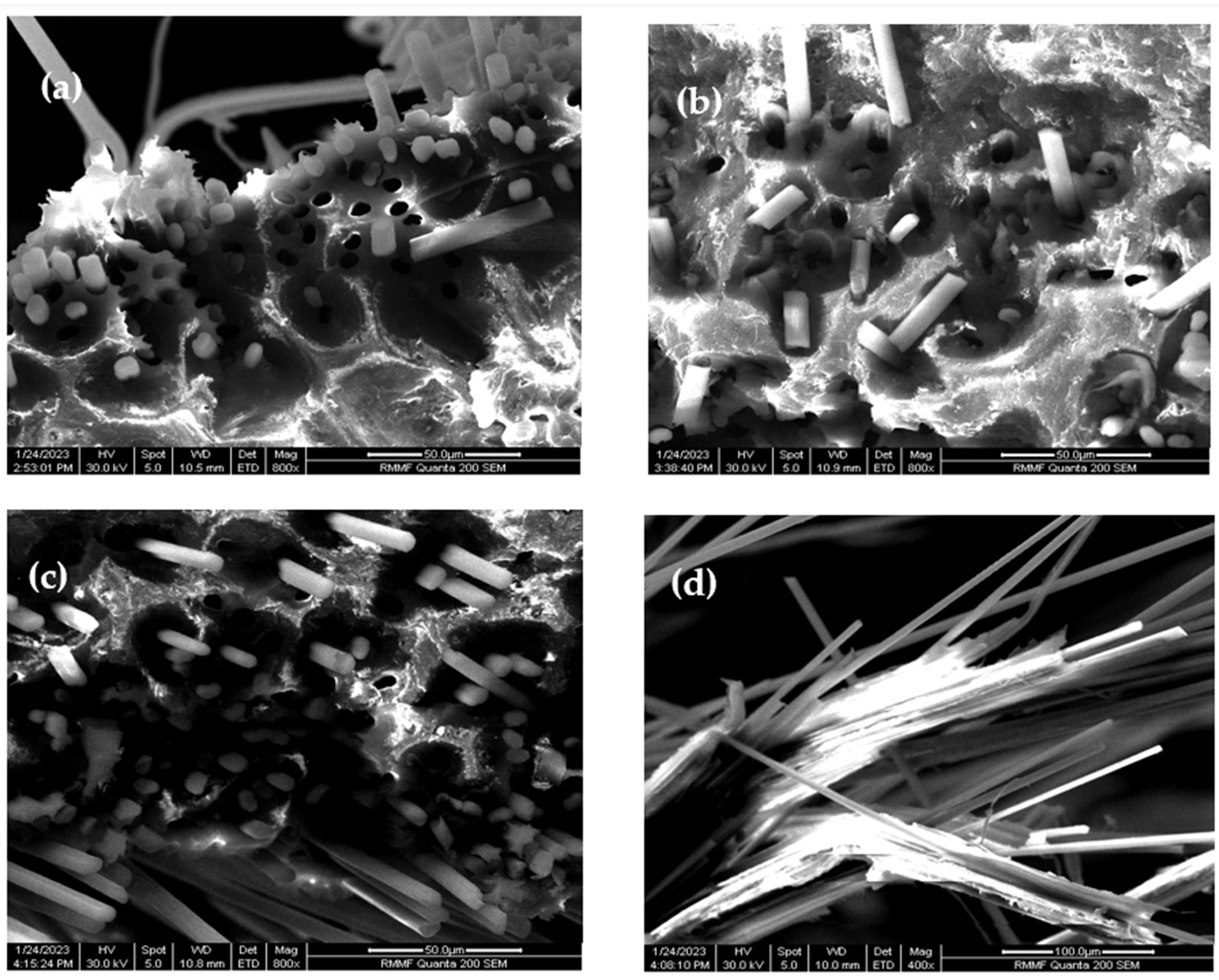 Molecules 29 00928 g002