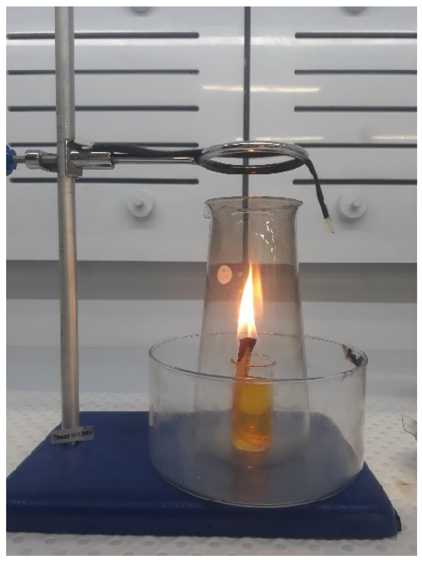 Molecules 29 00928 g010