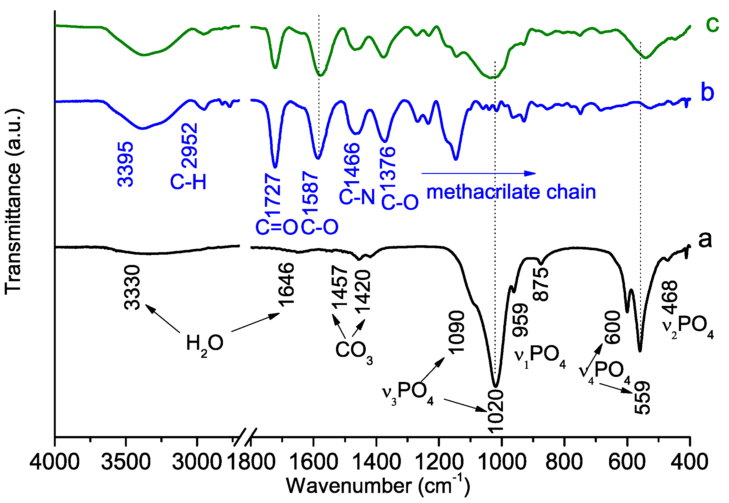 Molecules 29 00930 g006