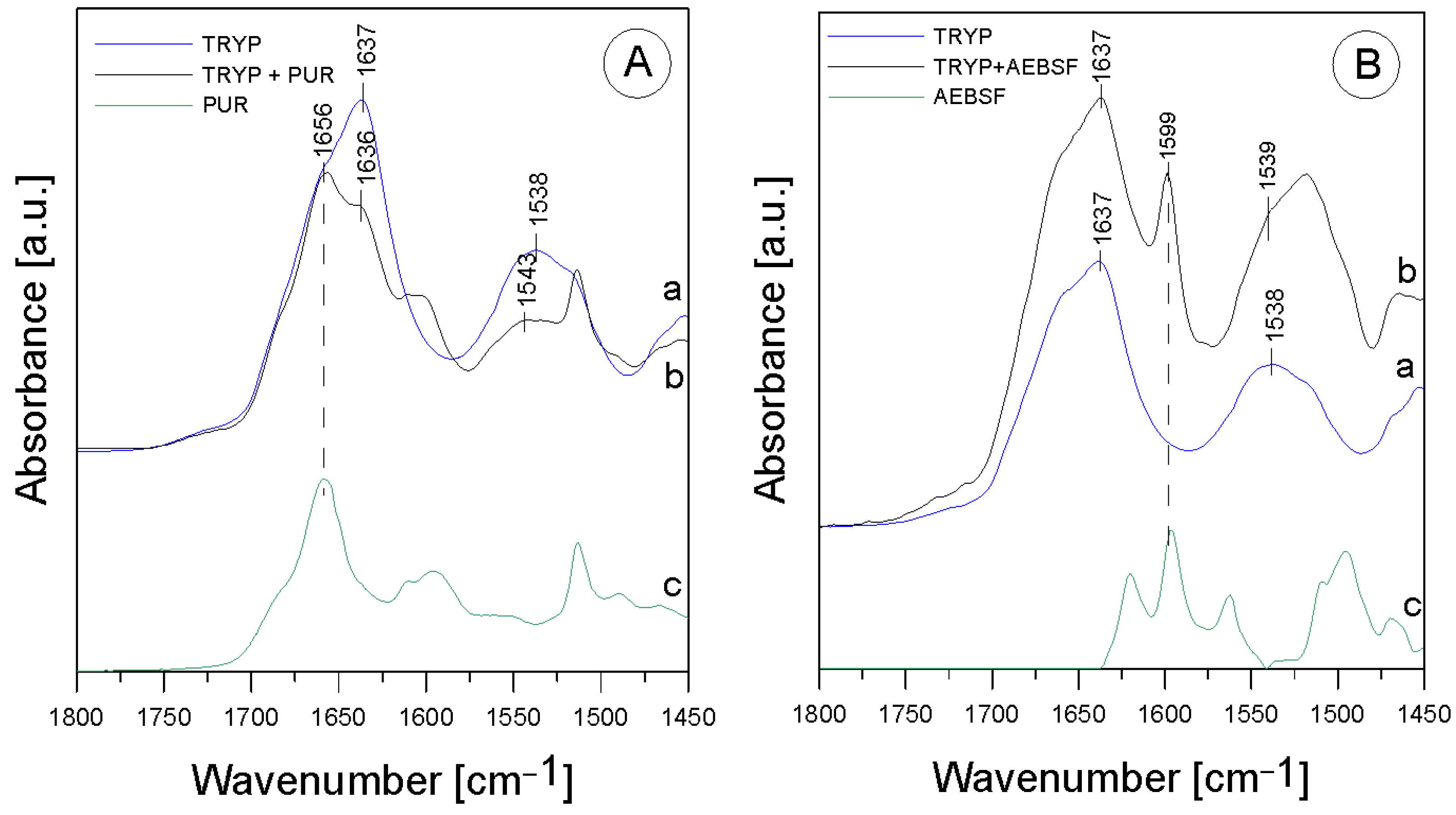 Molecules 29 00935 g001