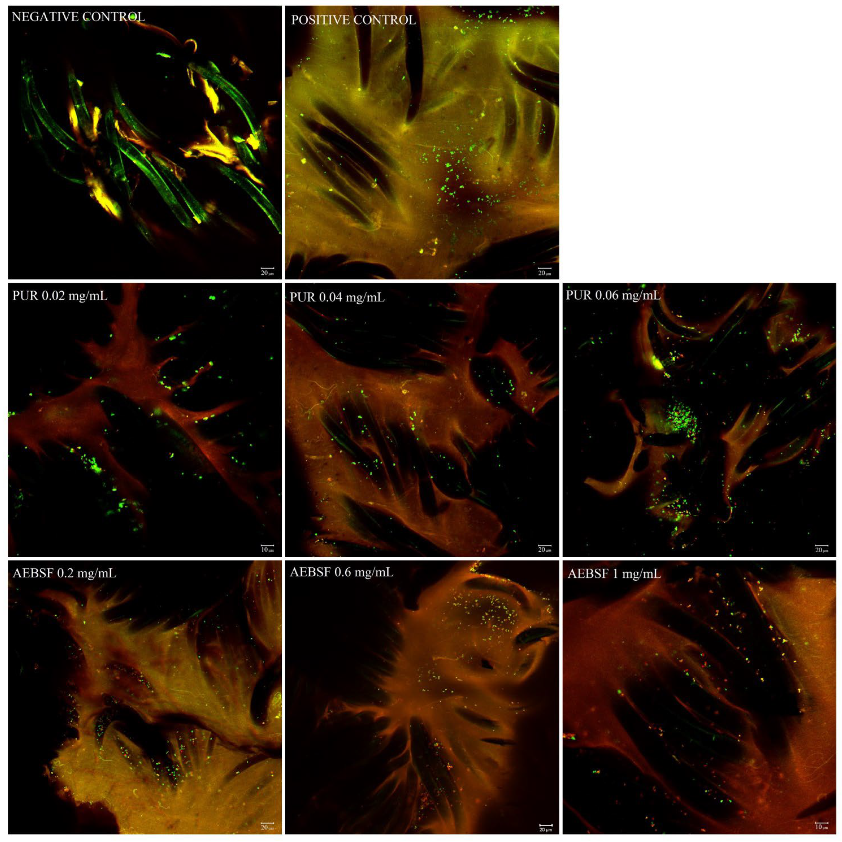 Molecules 29 00935 g006