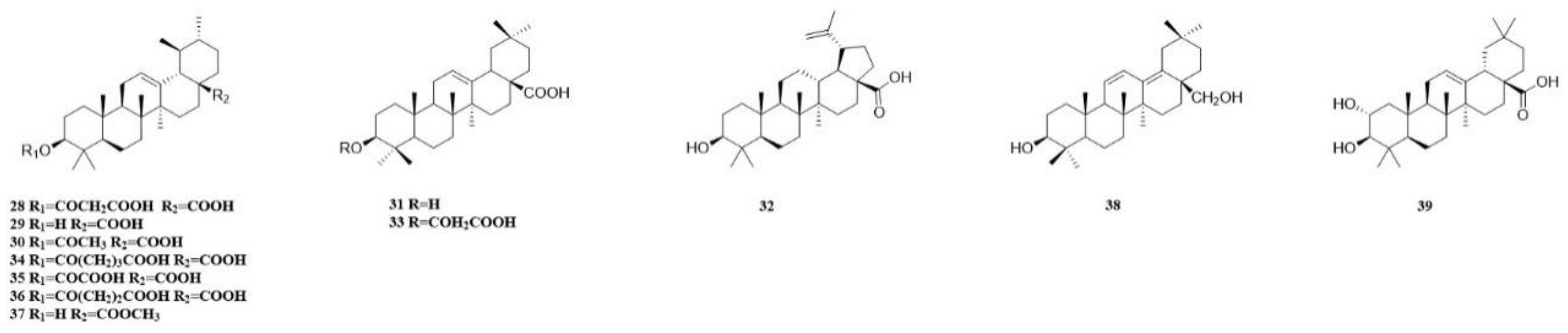 Molecules 29 00941 g006