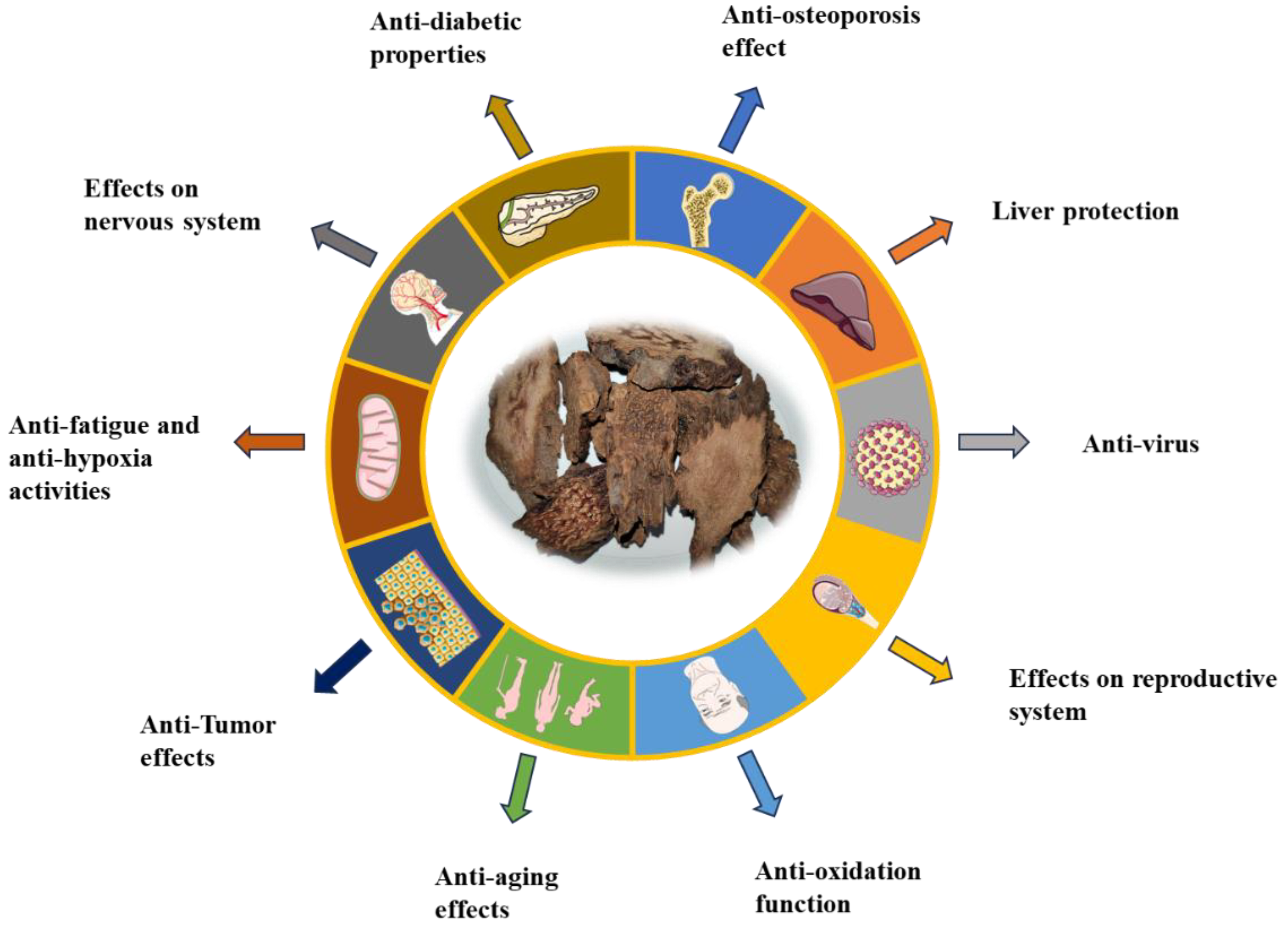 Molecules 29 00941 g012