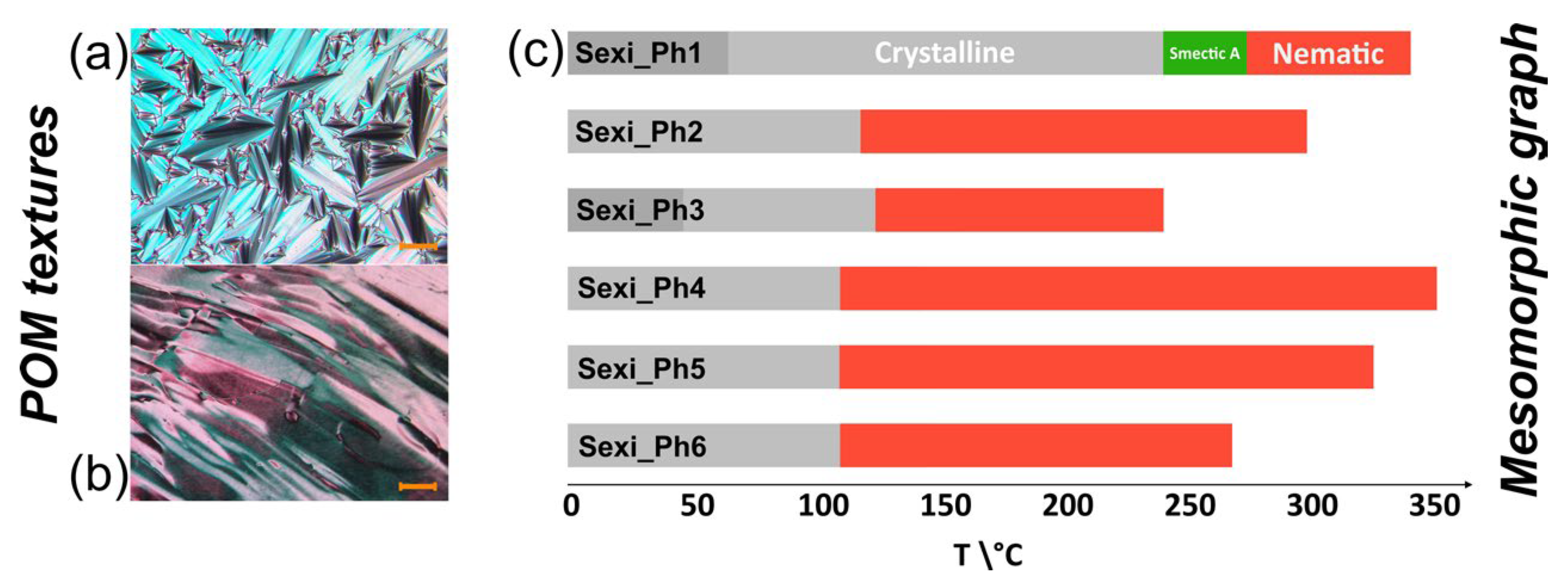 Molecules 29 00946 g003