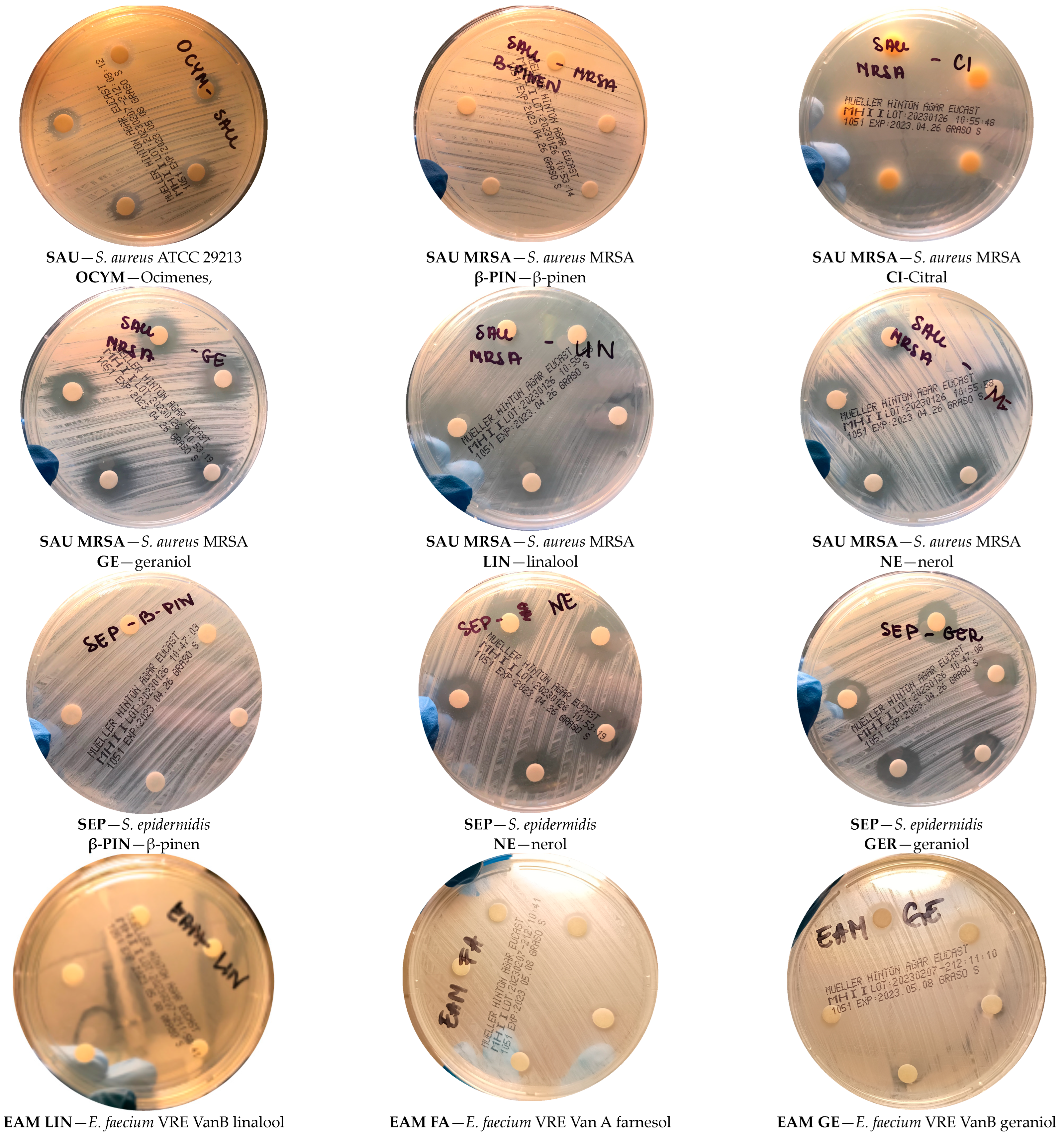 Molecules 29 00950 g009