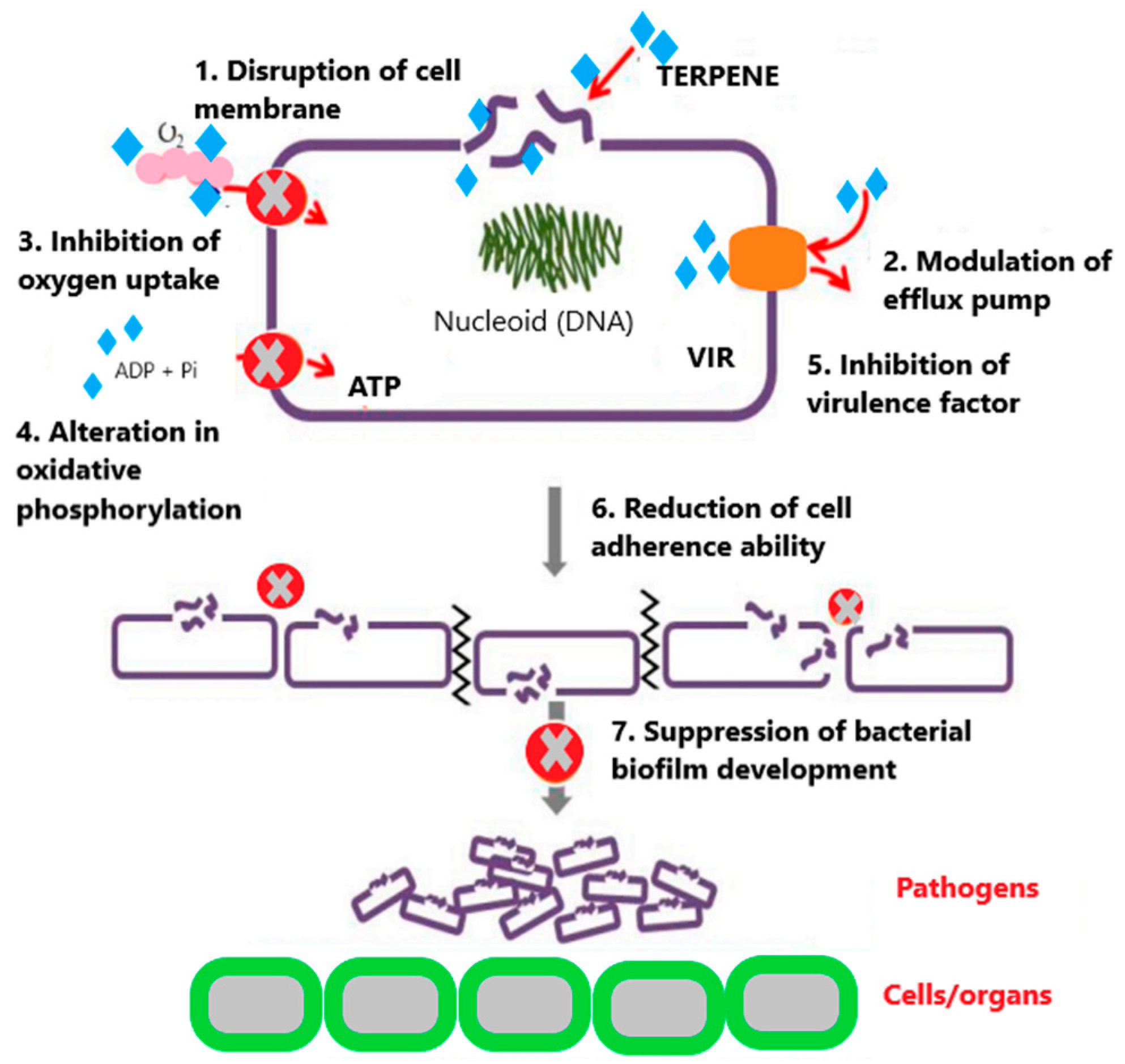 Molecules 29 00950 g010