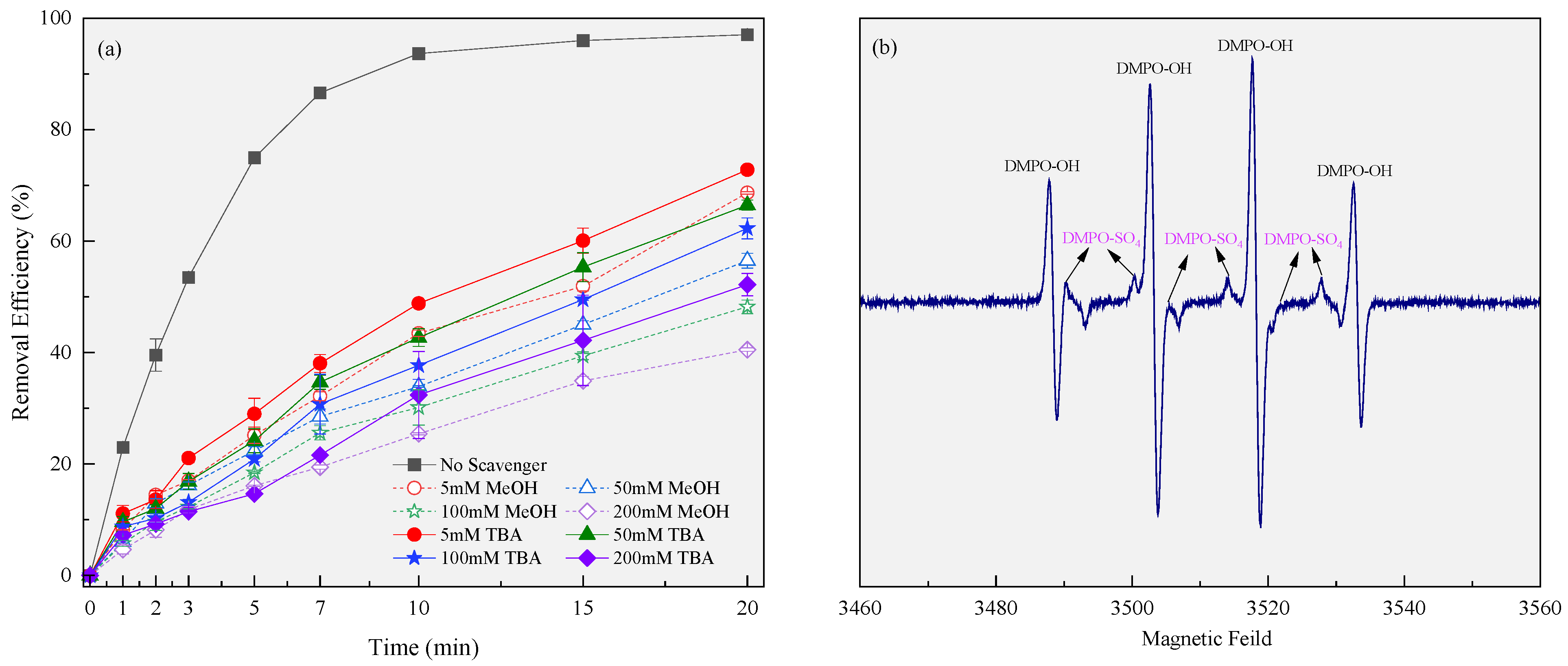 Molecules 29 00952 g003