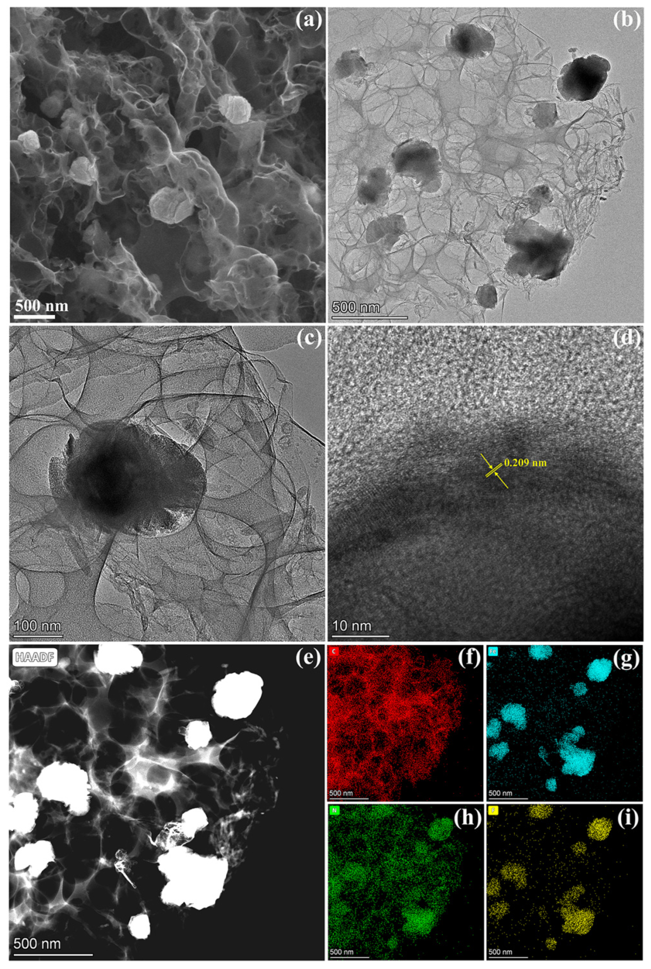 Molecules 29 00959 g003