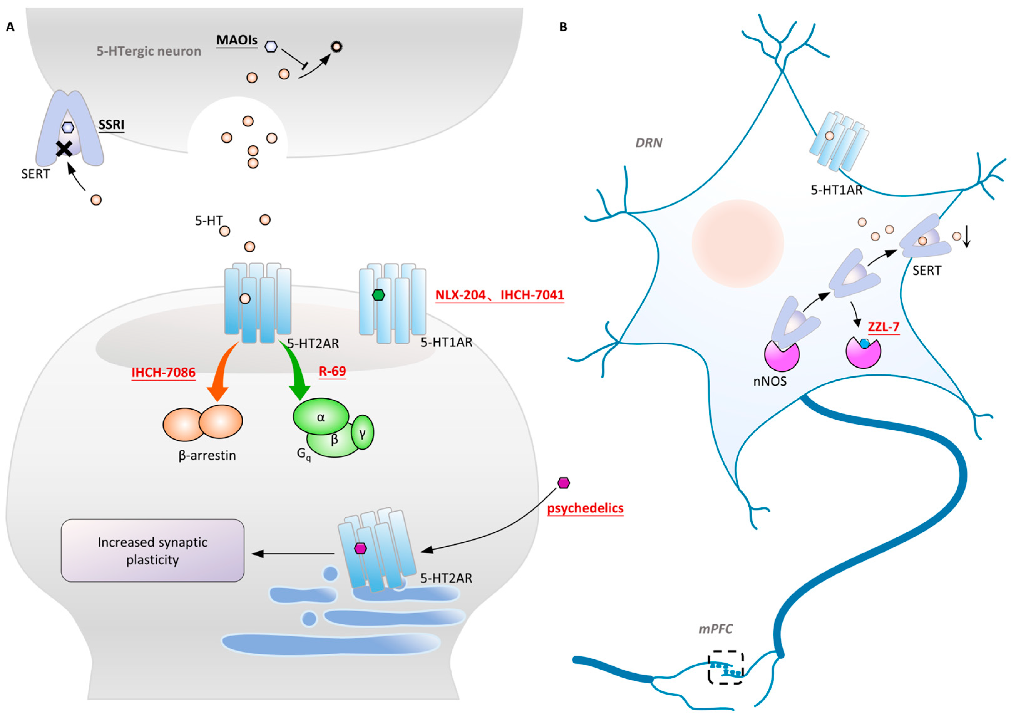 Molecules Free Full Text Exploring Novel Antidepressants