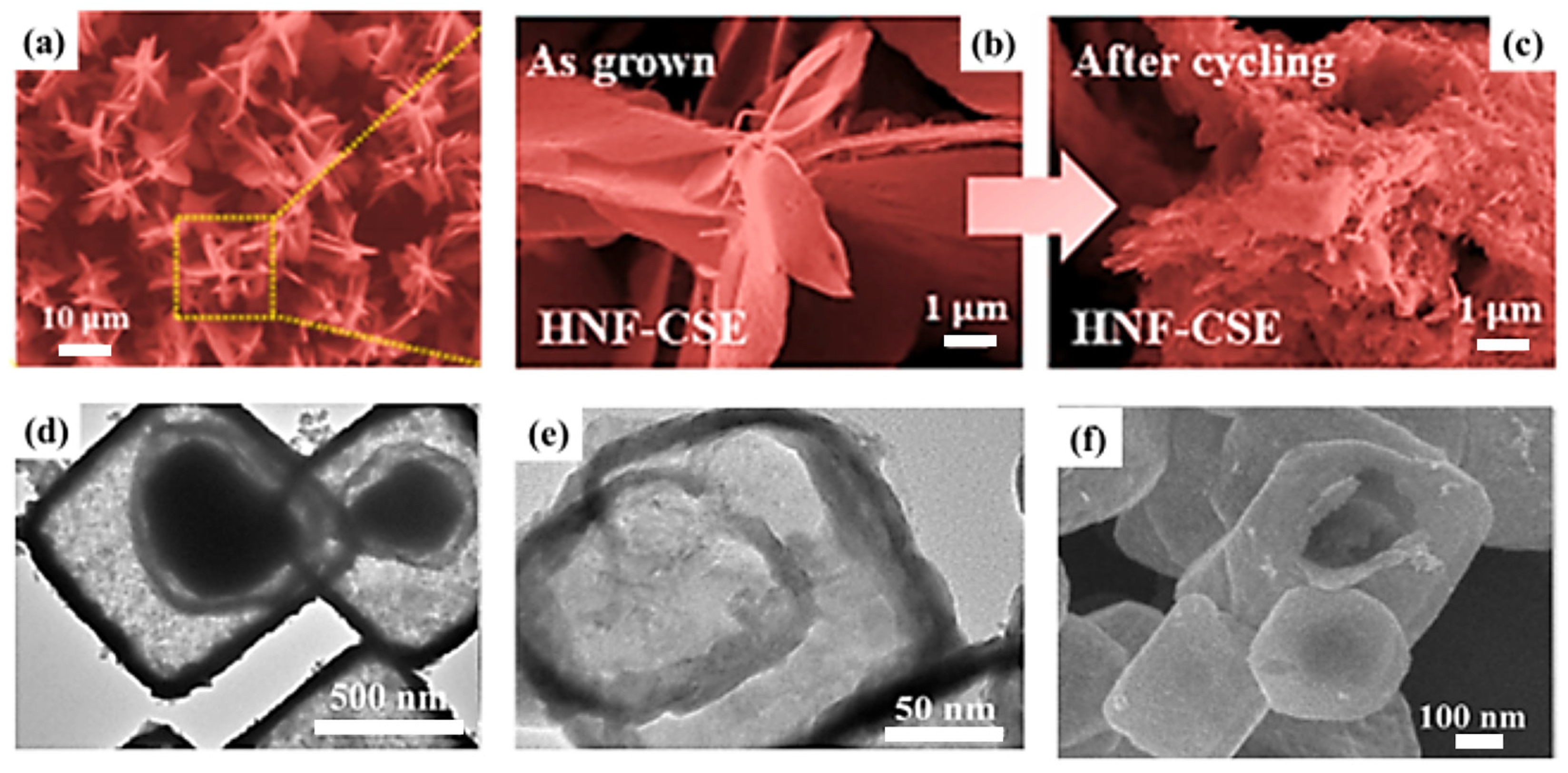 Molecules 29 00977 g005