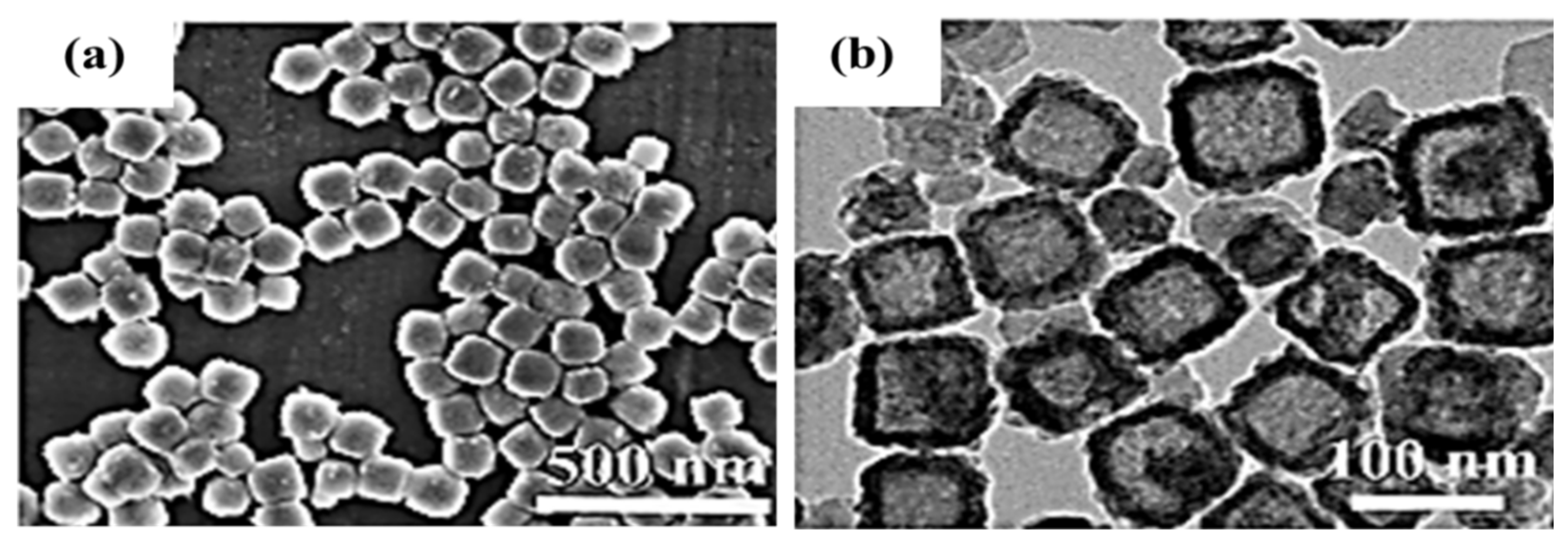 Molecules 29 00977 g007