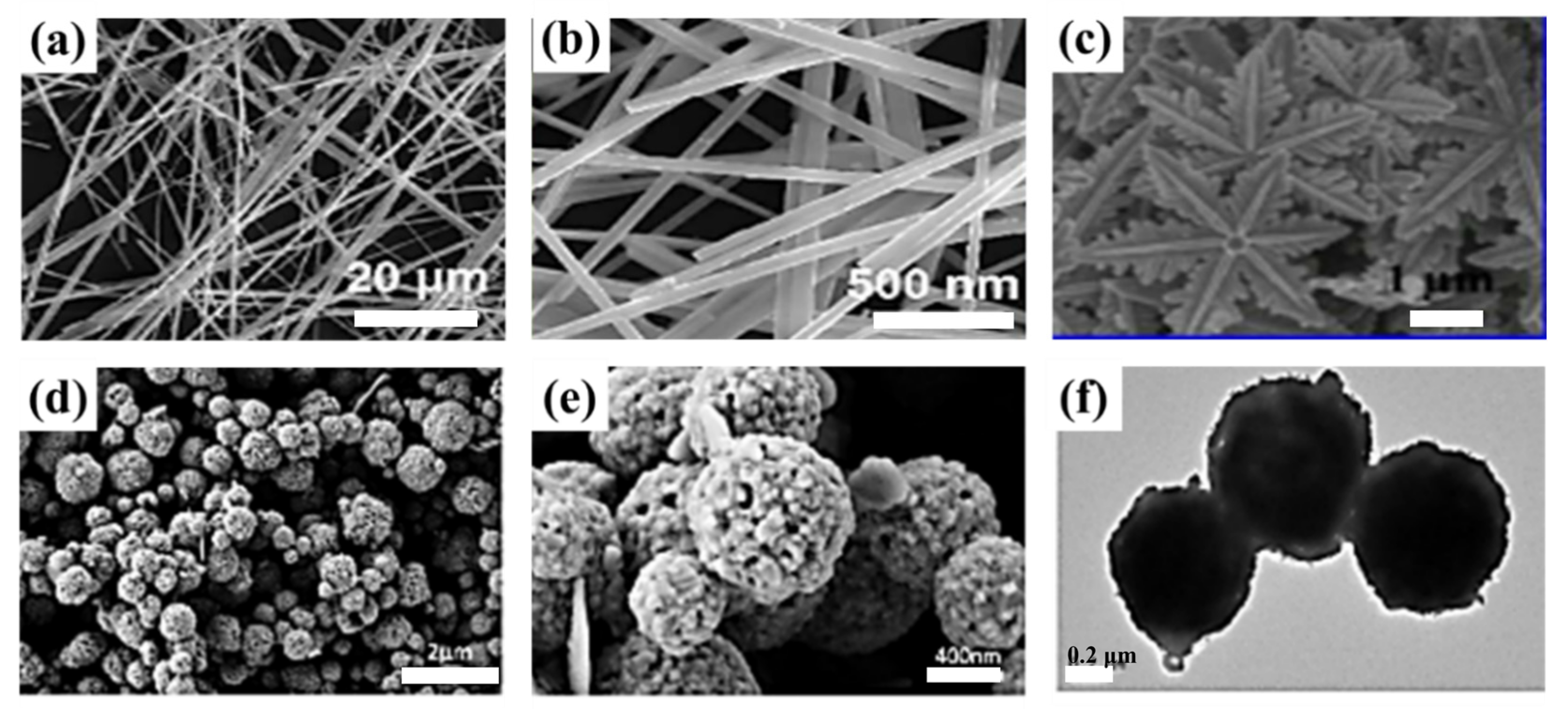 Molecules 29 00977 g008