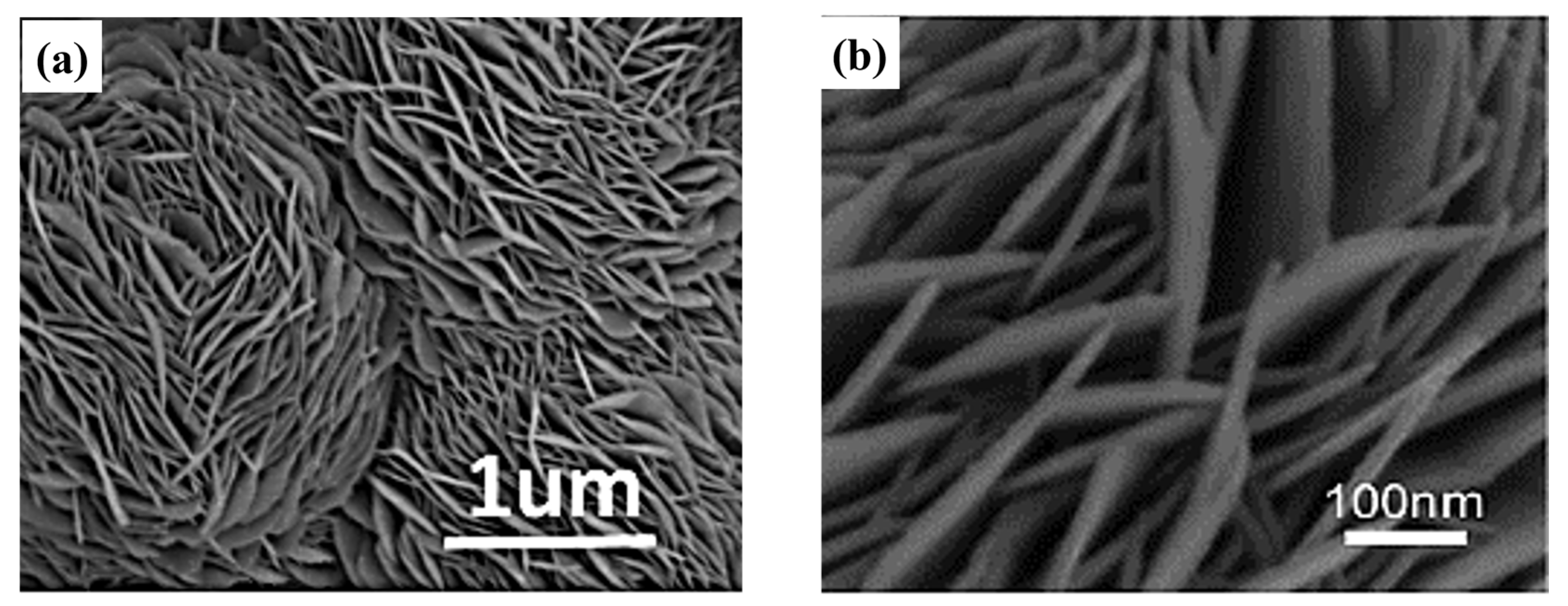 Molecules 29 00977 g009