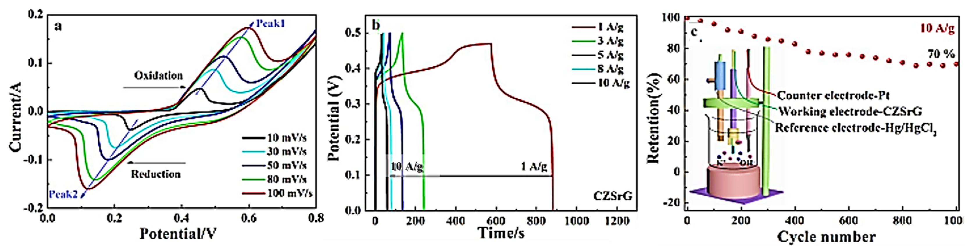 Molecules 29 00977 g010