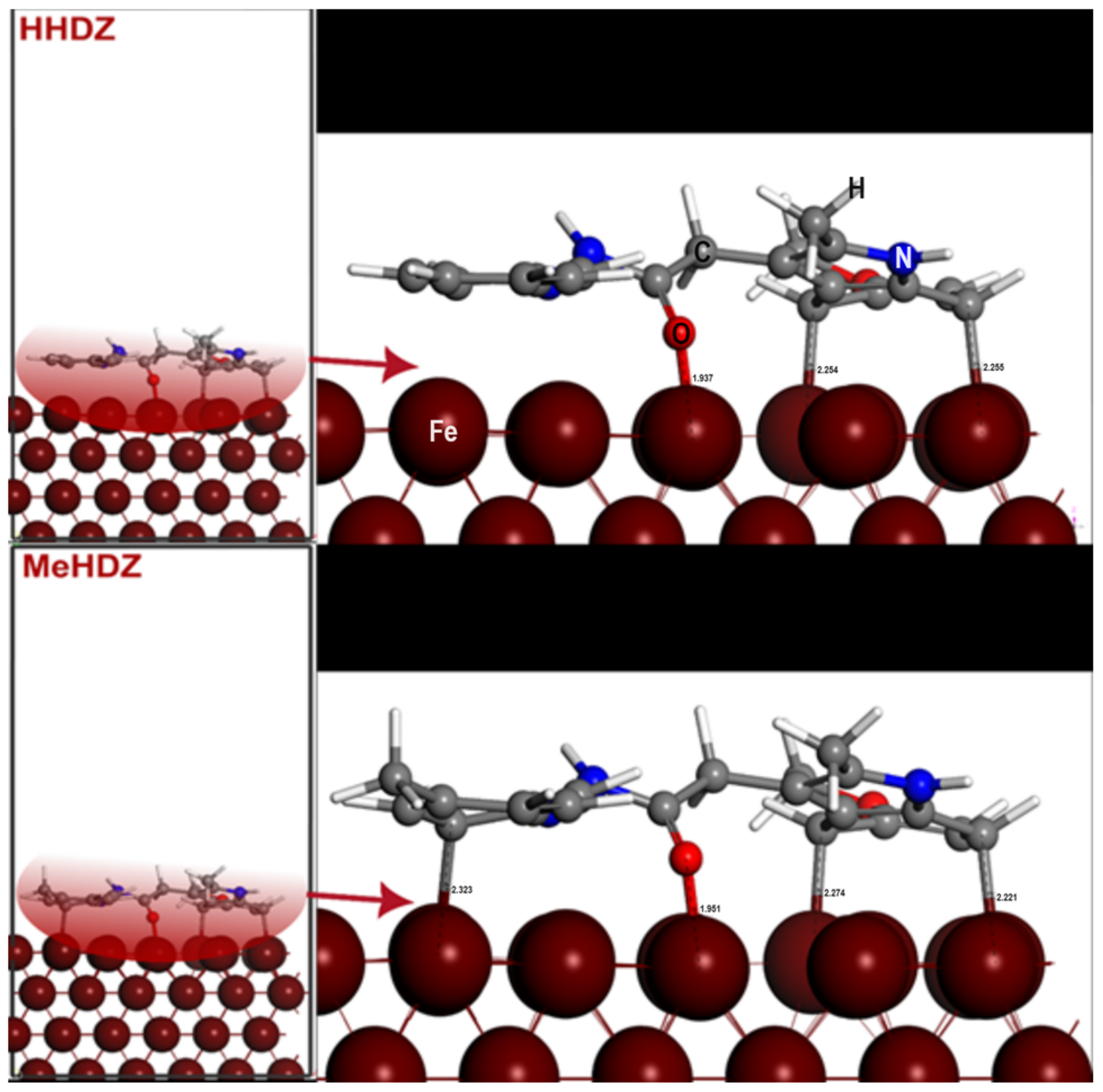 Molecules 29 00985 g007