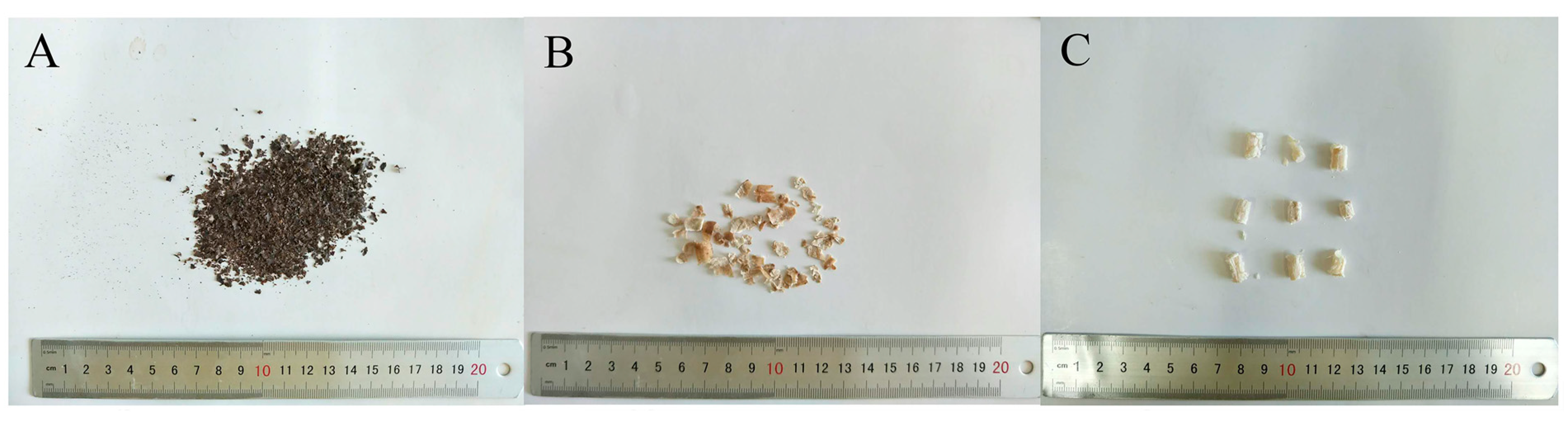 Molecules 29 00992 g007