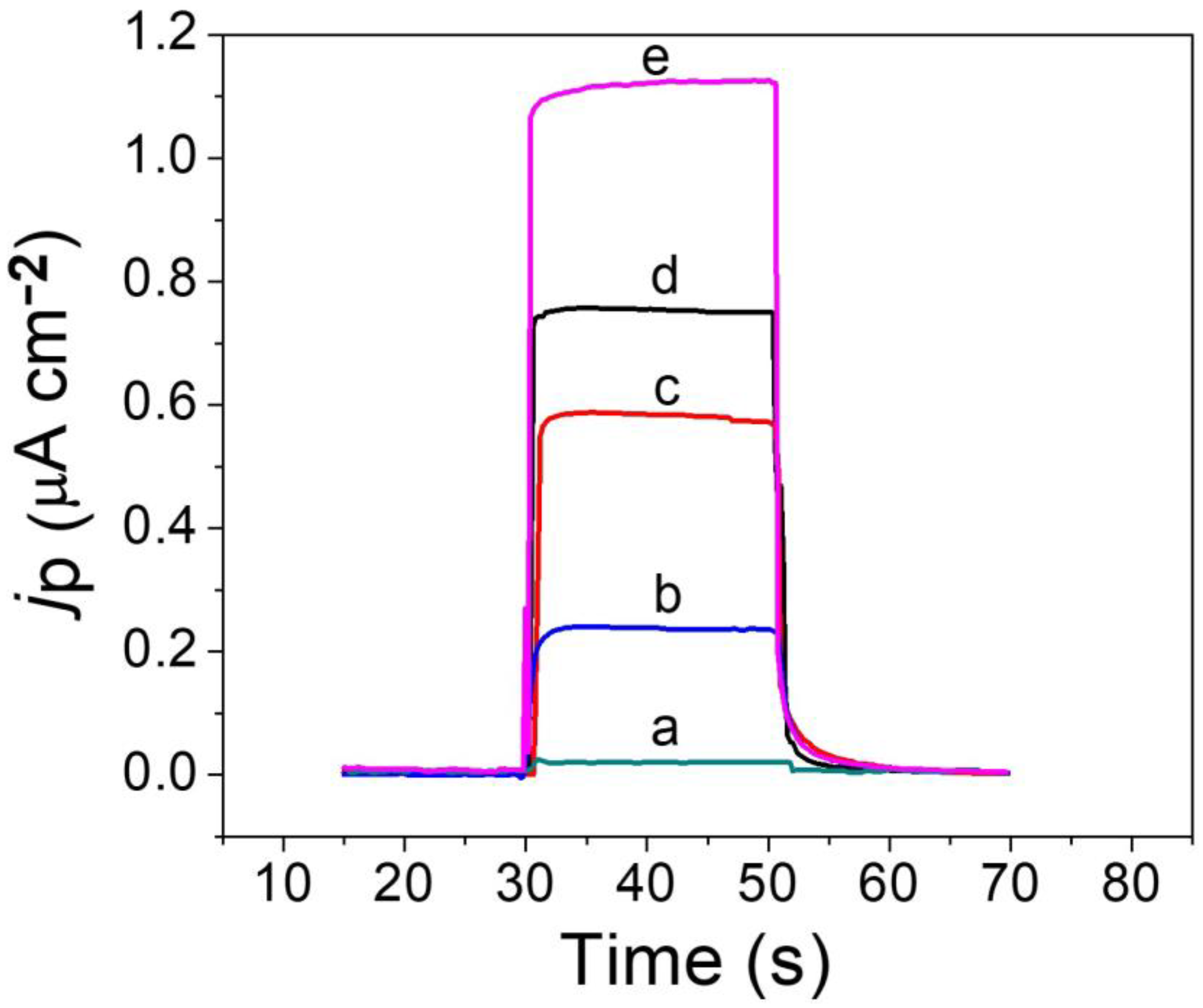 Molecules 29 01002 g003