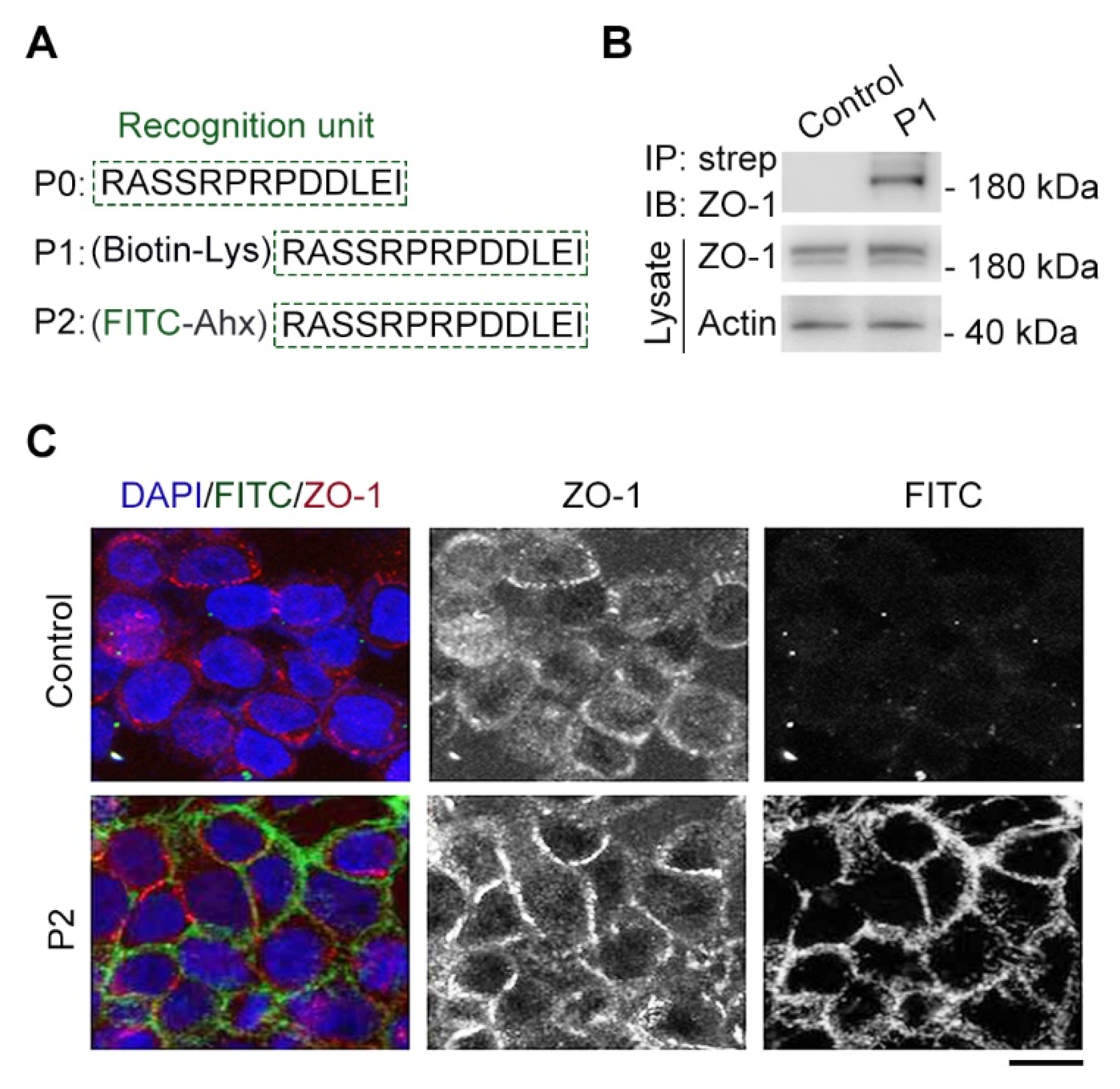 Molecules 29 01003 g002