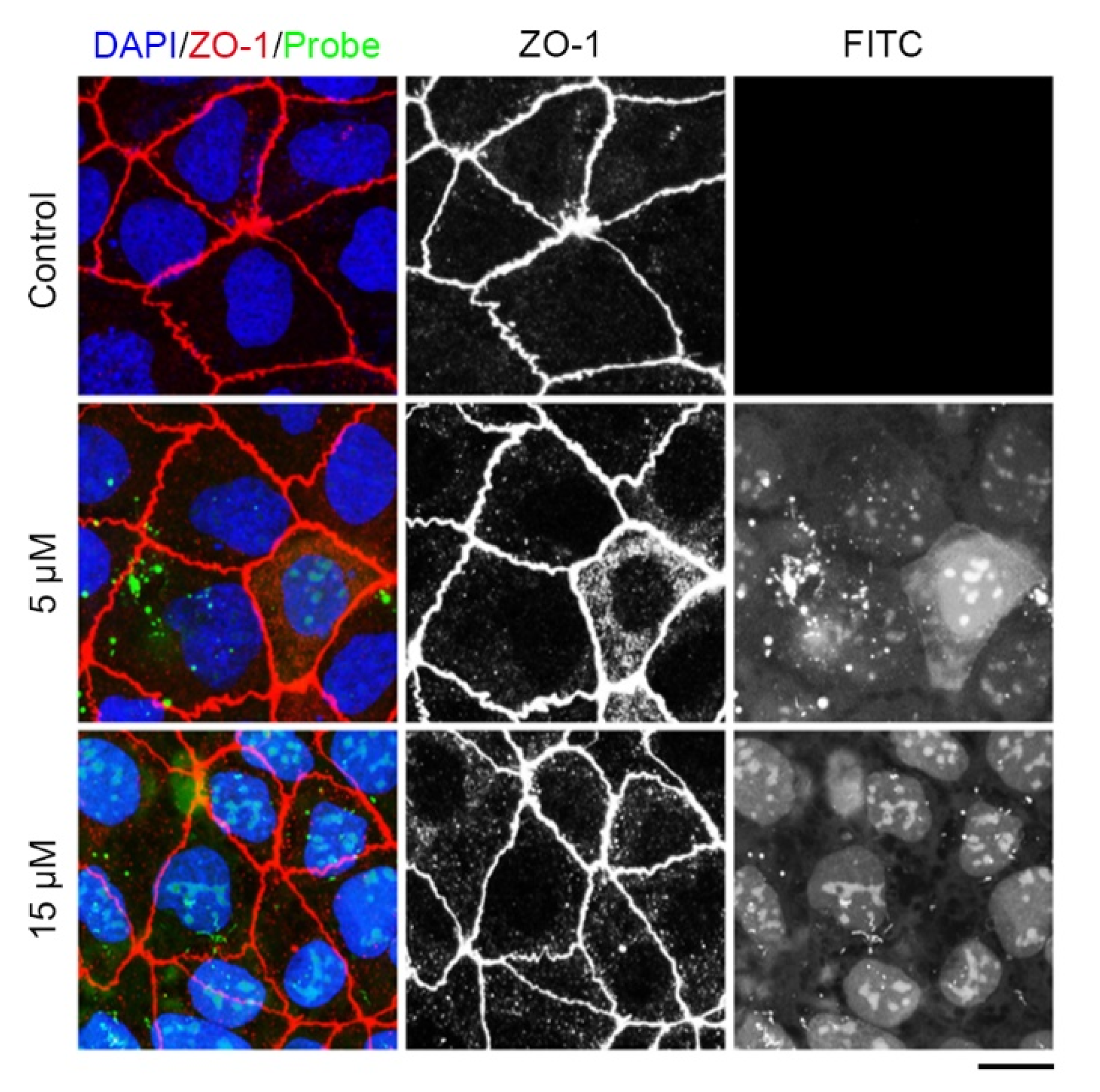 Molecules 29 01003 g004