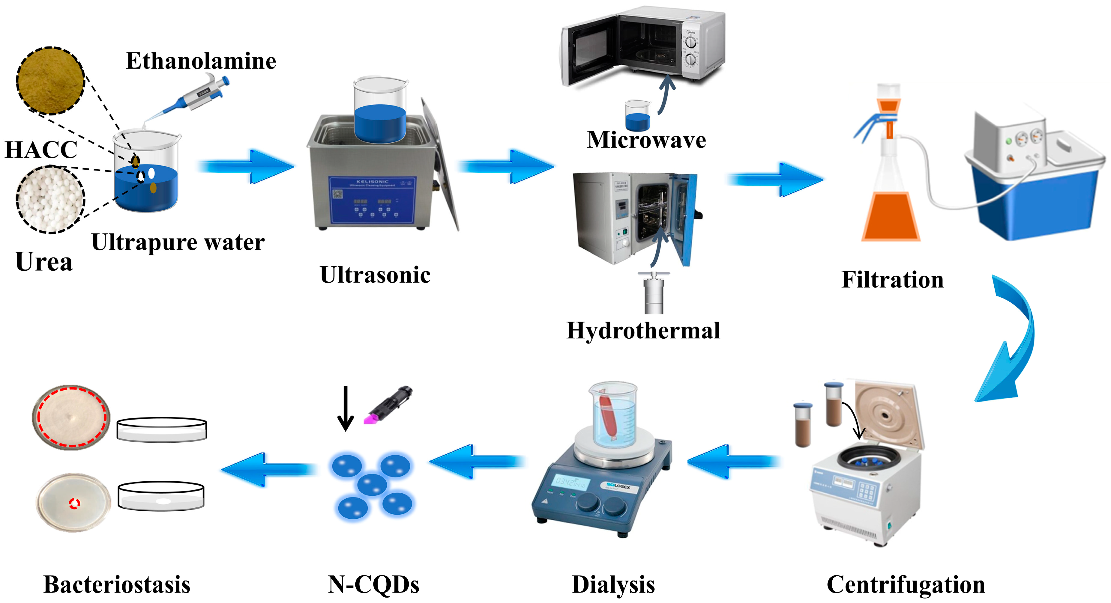 Molecules 29 01013 g001