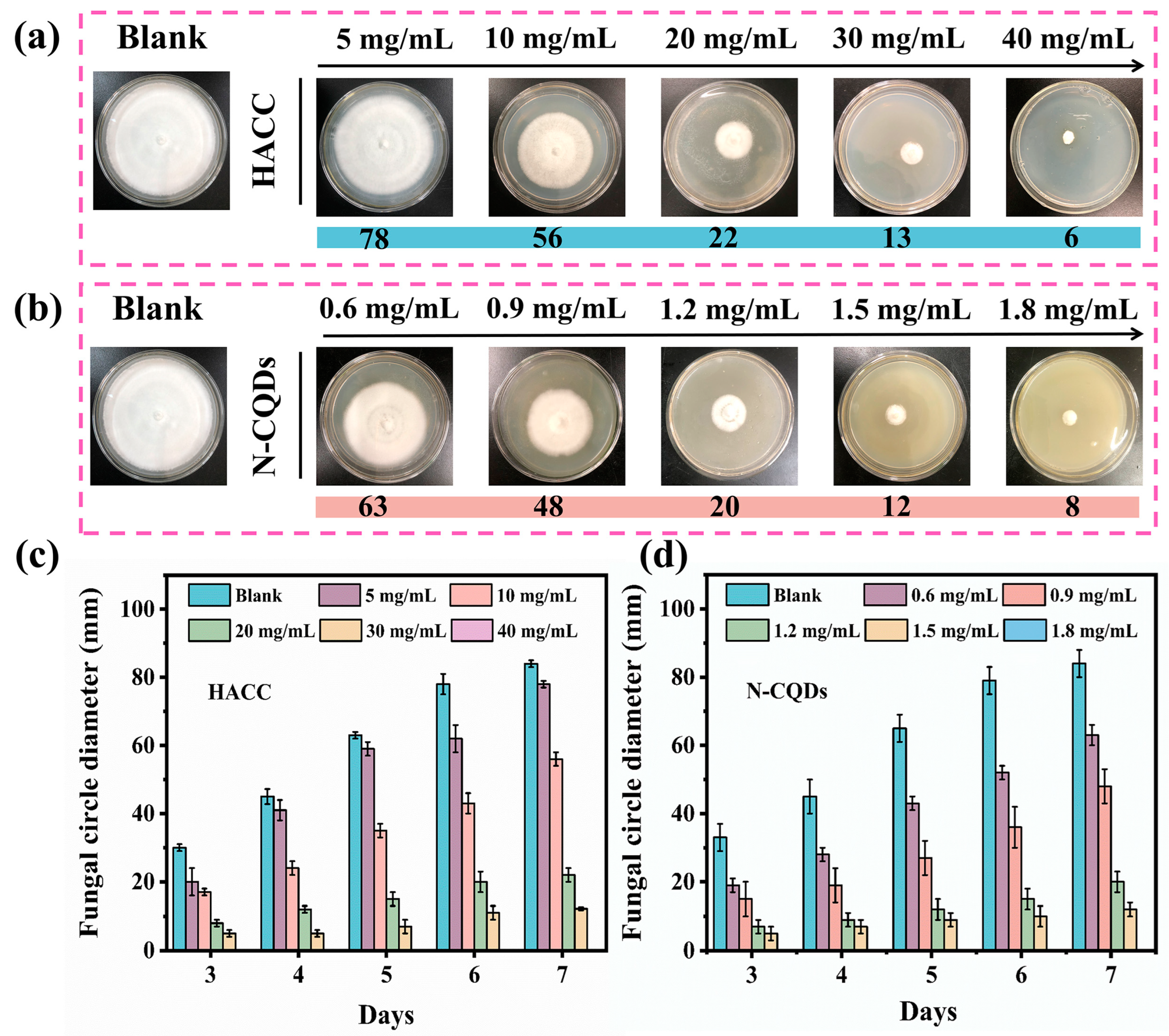Molecules 29 01013 g005