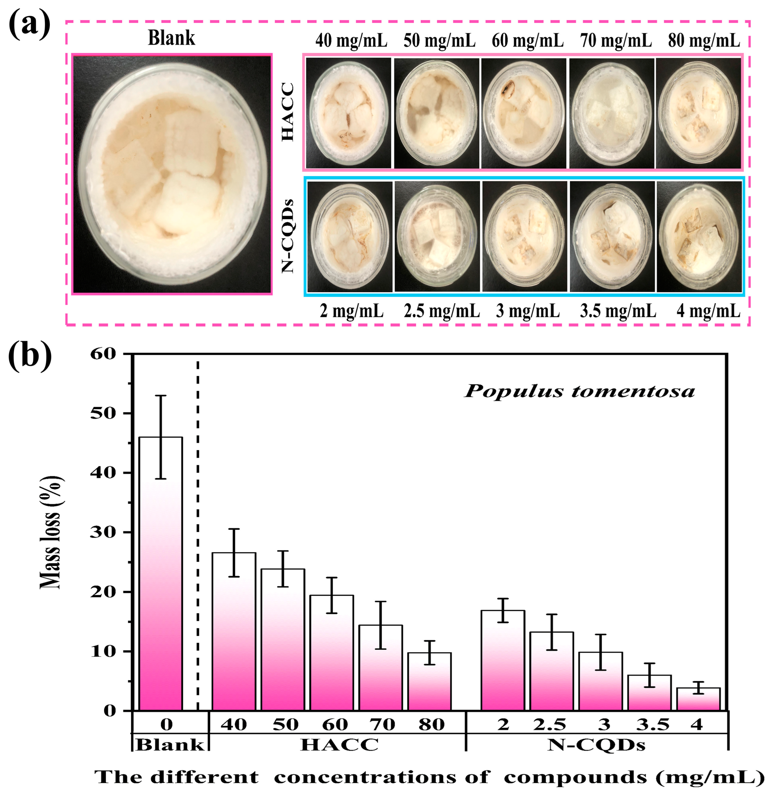 Molecules 29 01013 g006