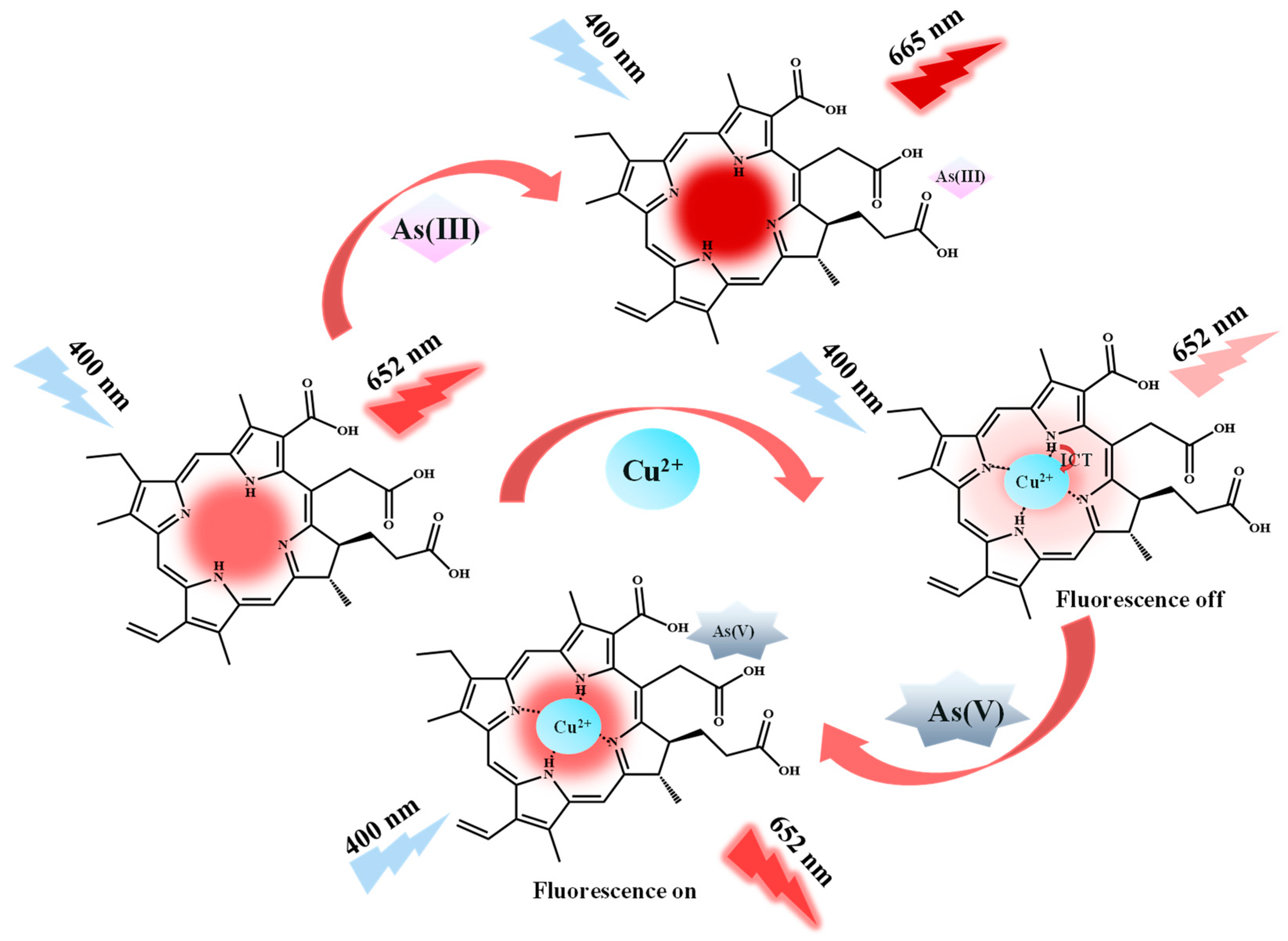 Molecules 29 01015 g001